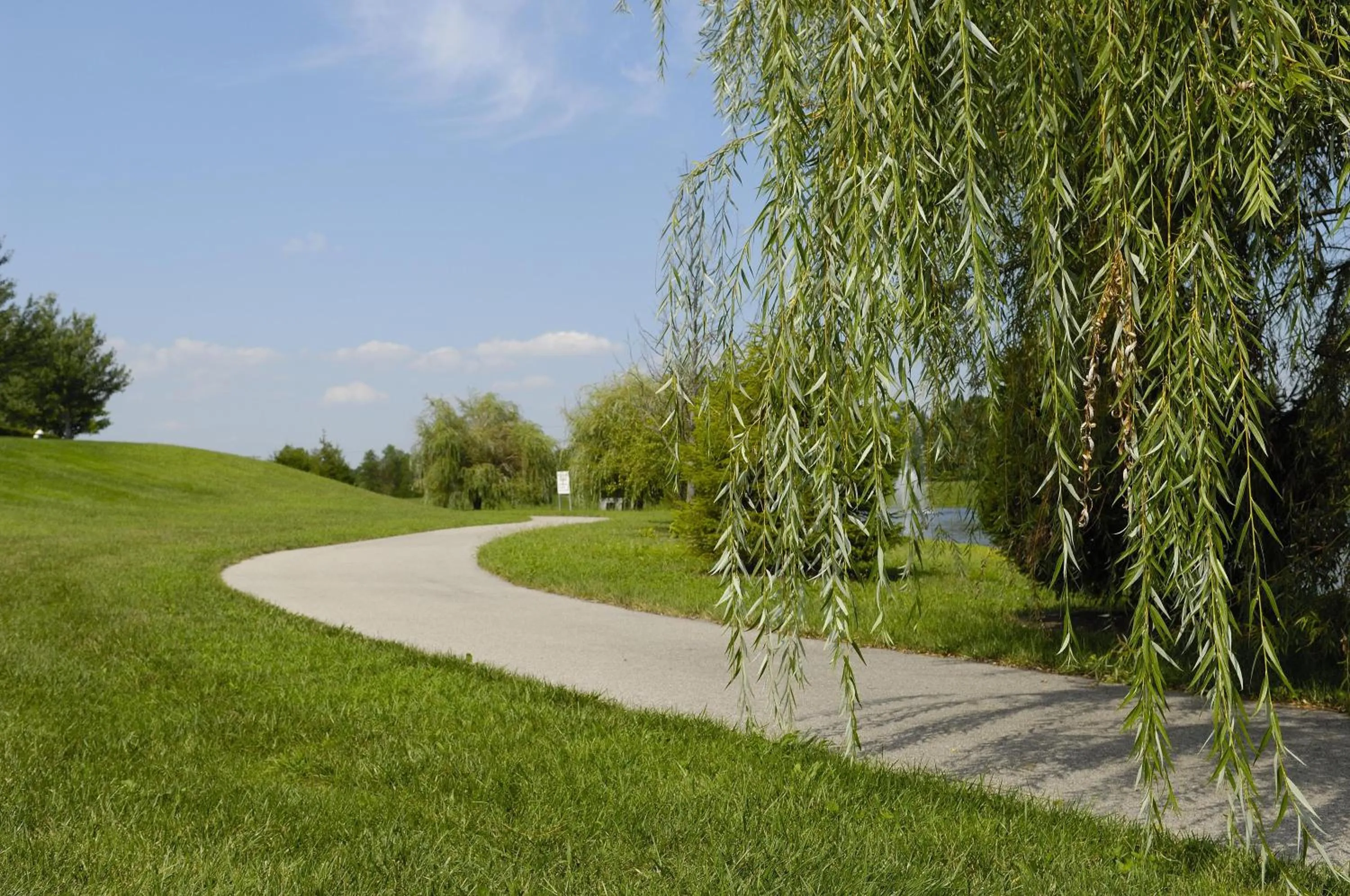 Sports in Embassy Suites Lexington