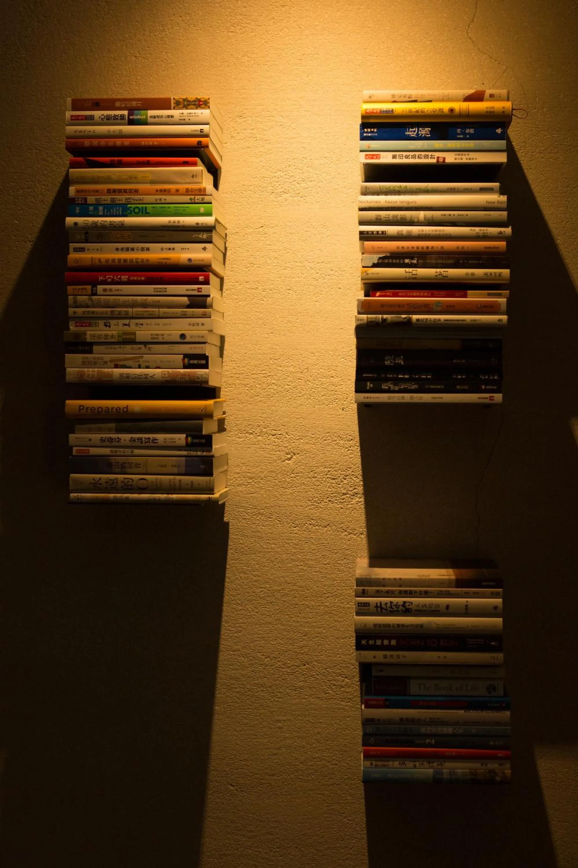 Library in Volando Urai Spring Spa & Resort