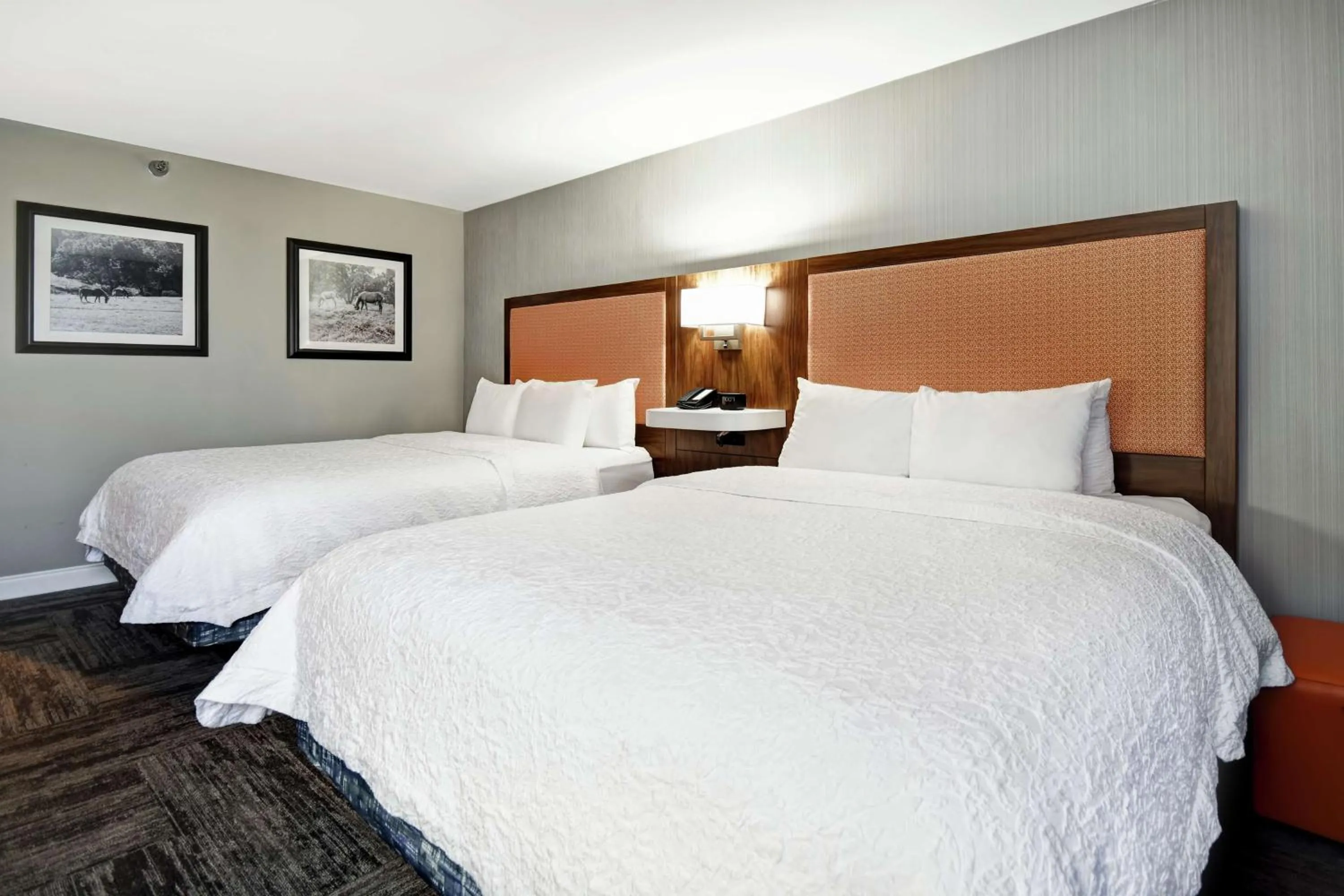 Photo of the whole room, Bed in Hampton Inn Lexington I-75