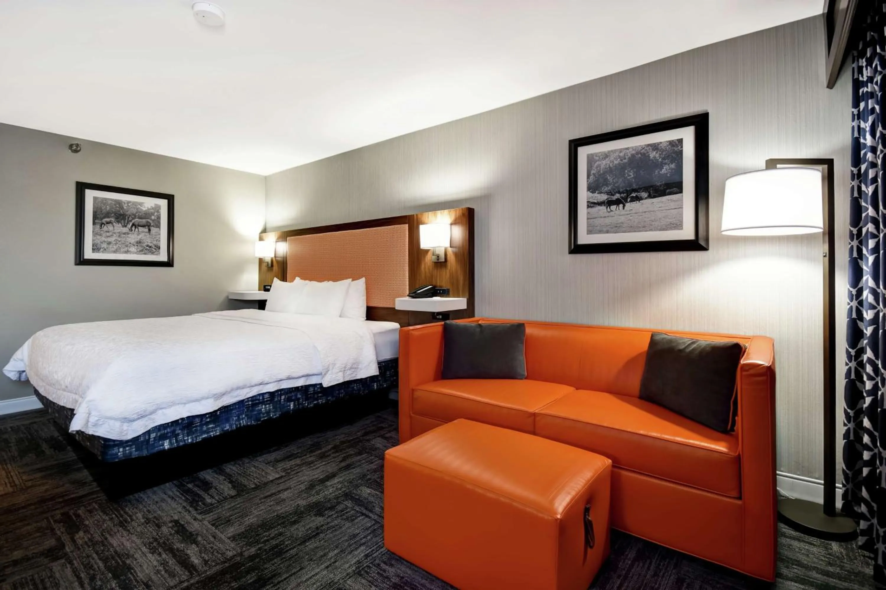 Photo of the whole room, Bed in Hampton Inn Lexington I-75