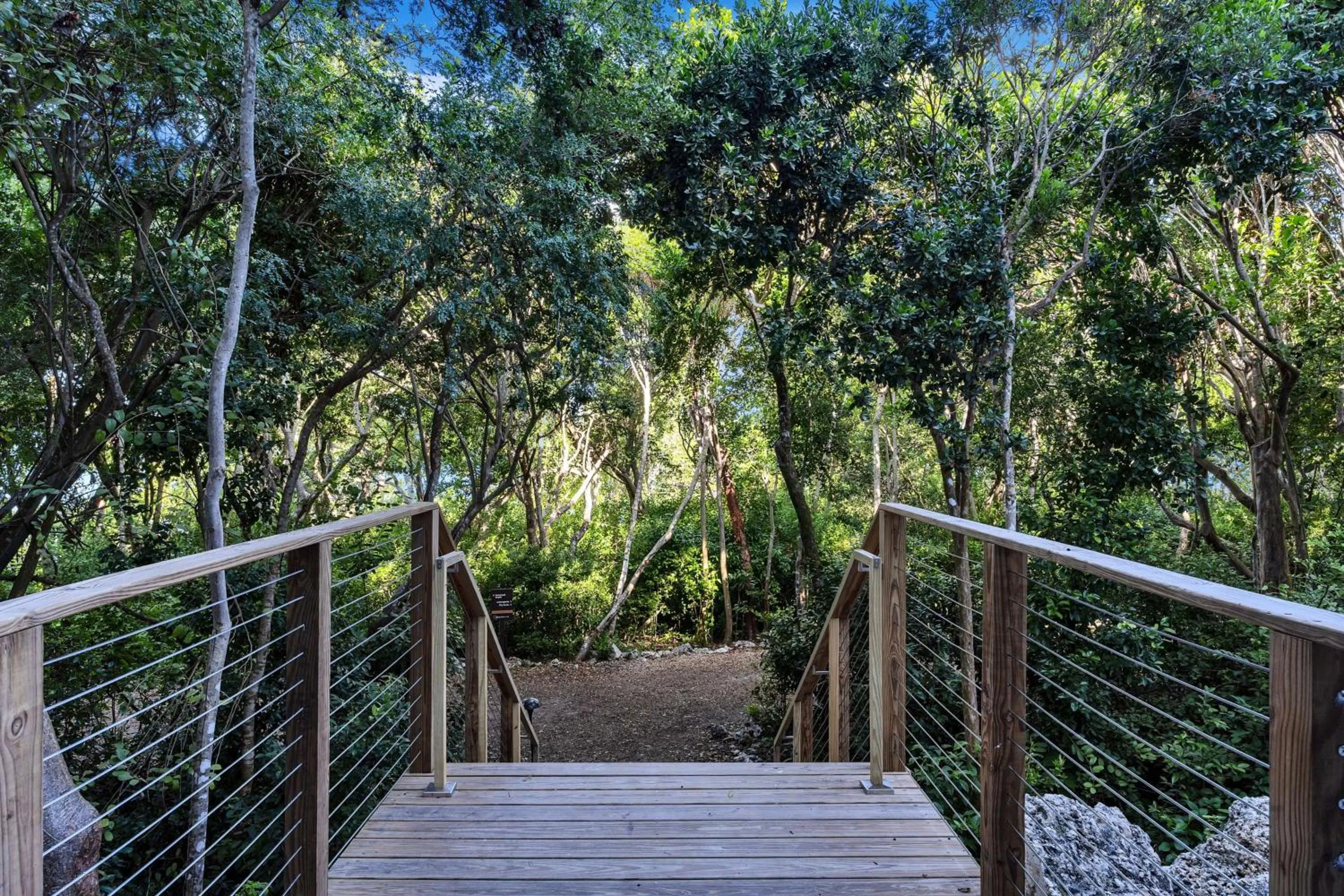View (from property/room) in Baker's Cay Resort Key Largo, Curio Collection By Hilton