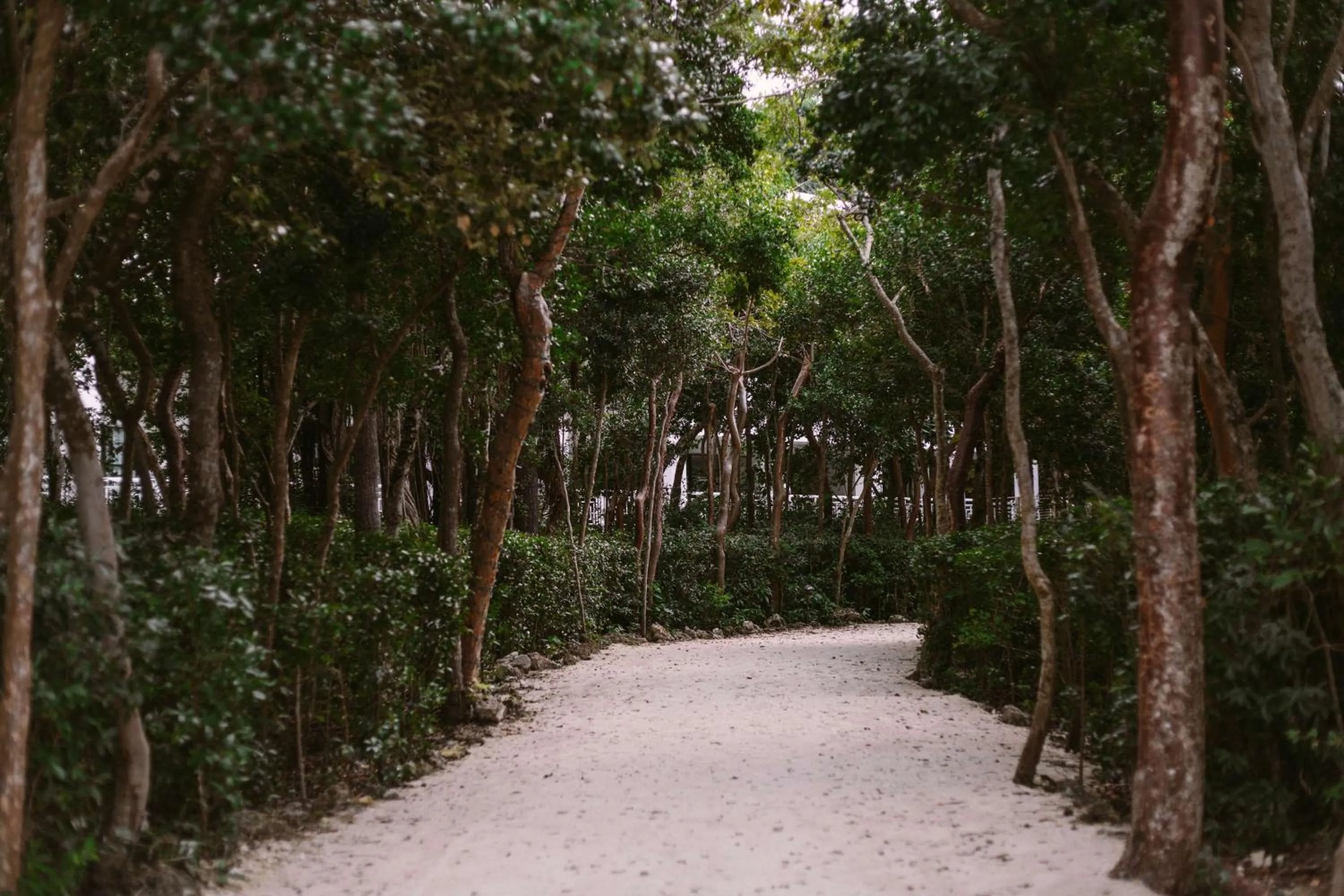 Property building in Baker's Cay Resort Key Largo, Curio Collection By Hilton