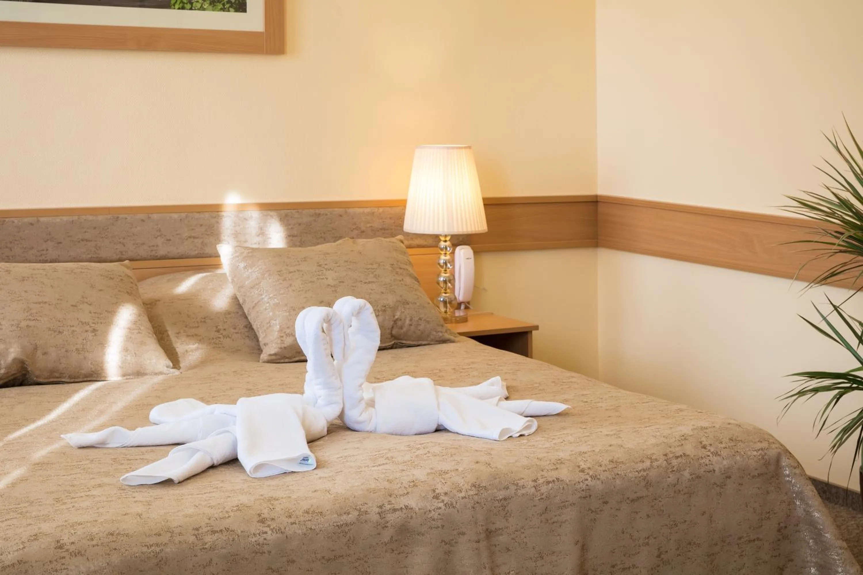 Other, Bed in Aquasol Resort