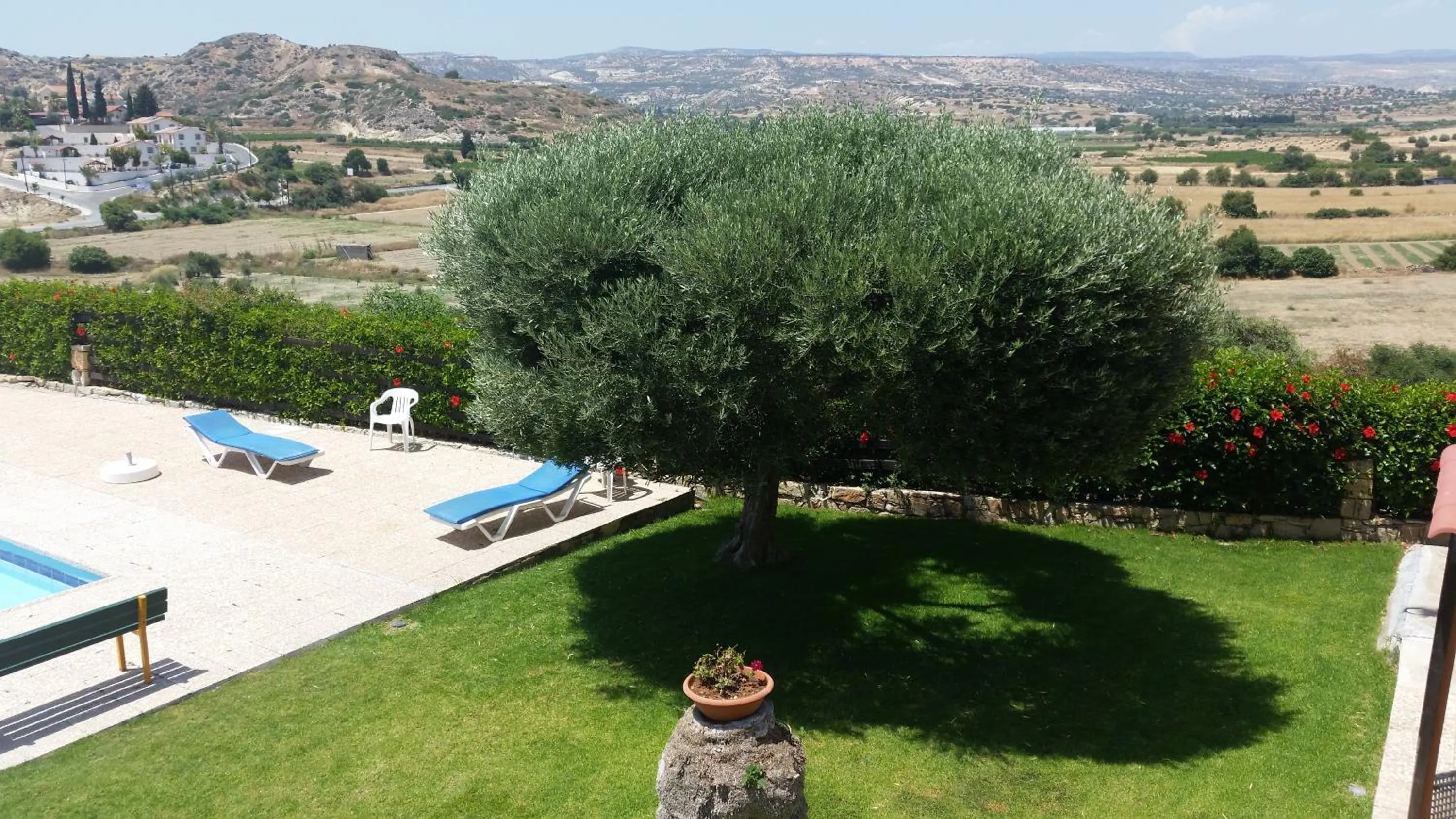Garden in Pelekanos Apartments