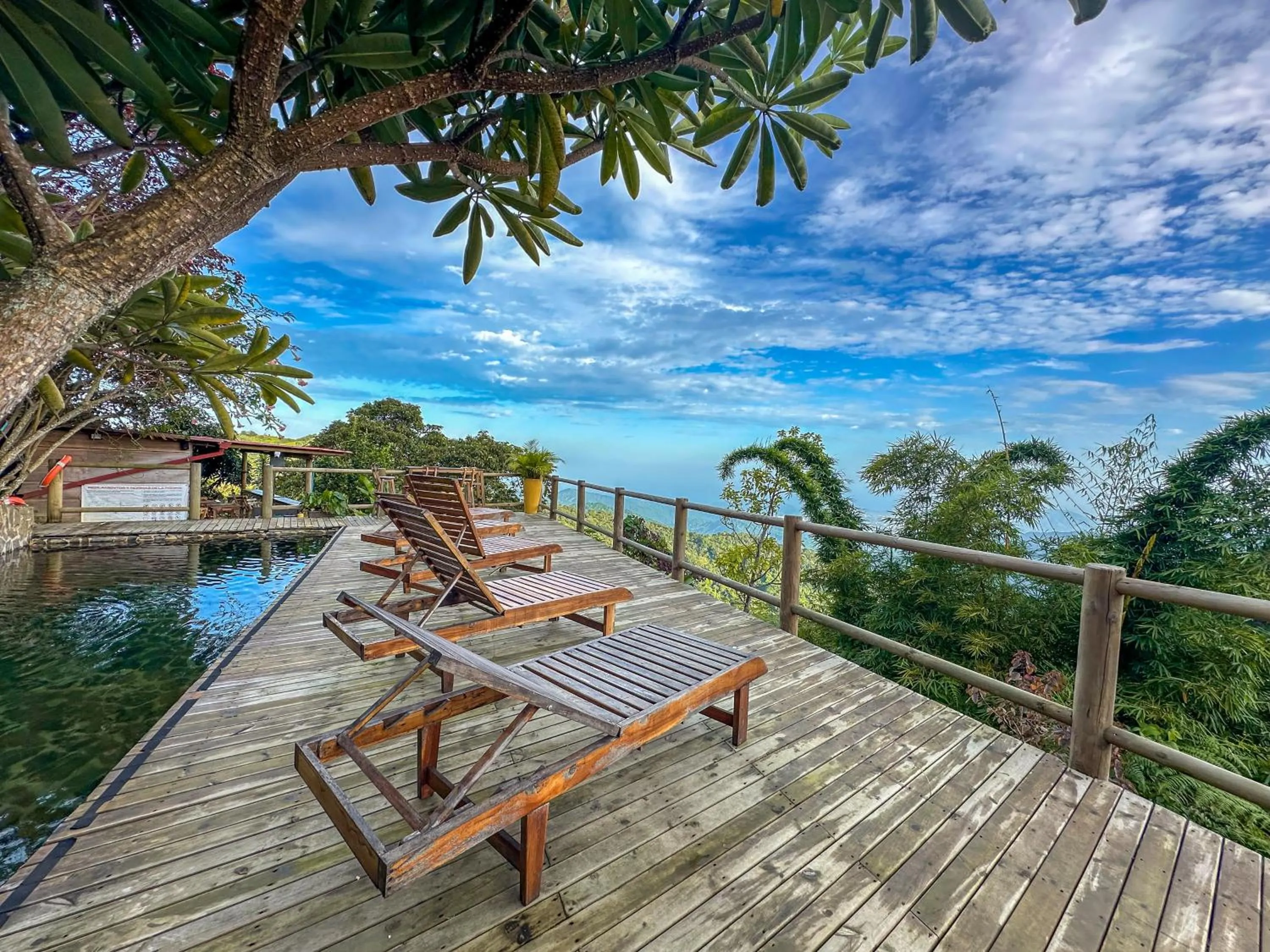 View (from property/room) in Loma Nevada Minca Hotel