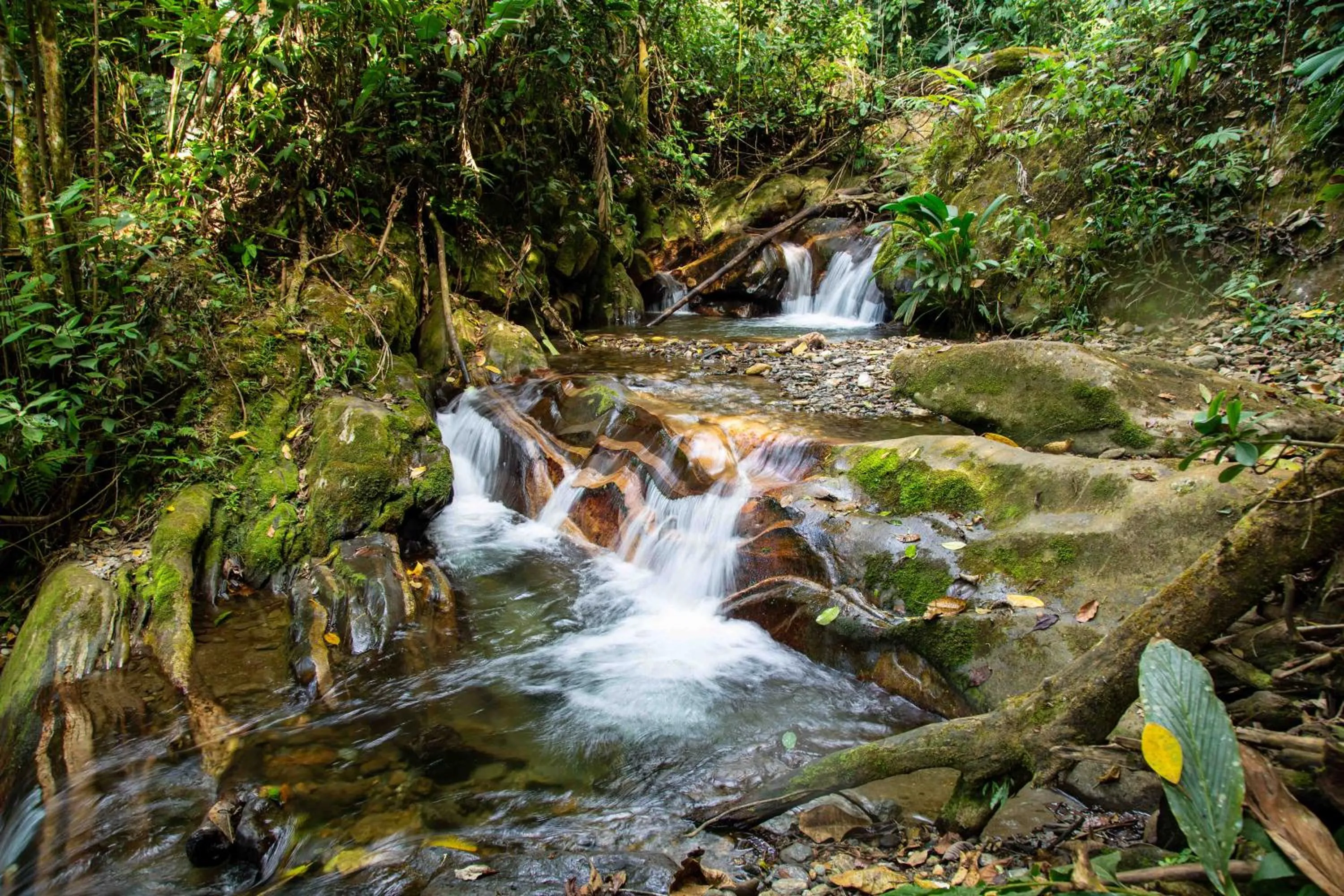 Off site in Loma Nevada Minca Hotel