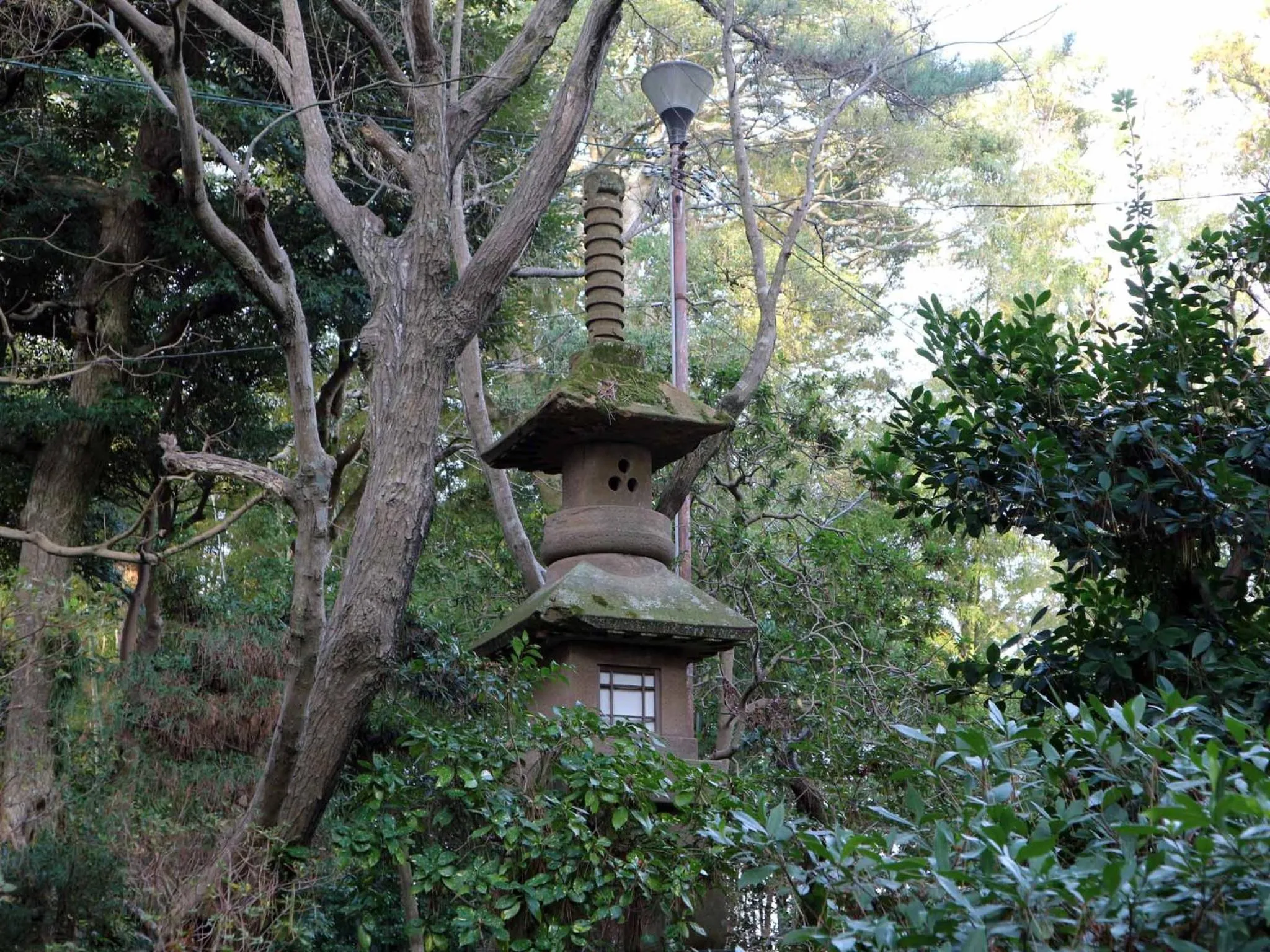 Garden in Hotel Takeshi Sanso