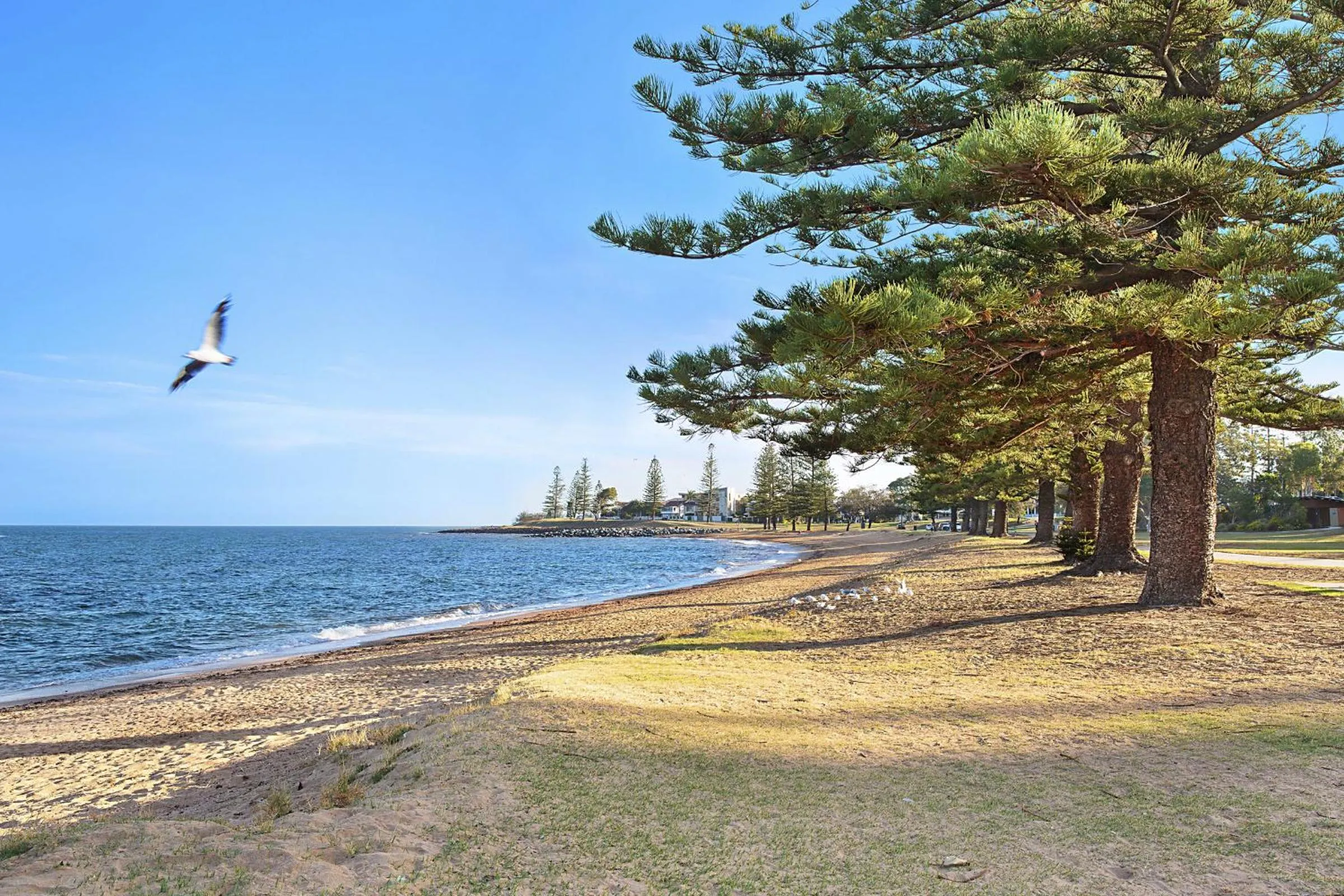 Area and facilities in Scarborough Beach Resort Brisbane