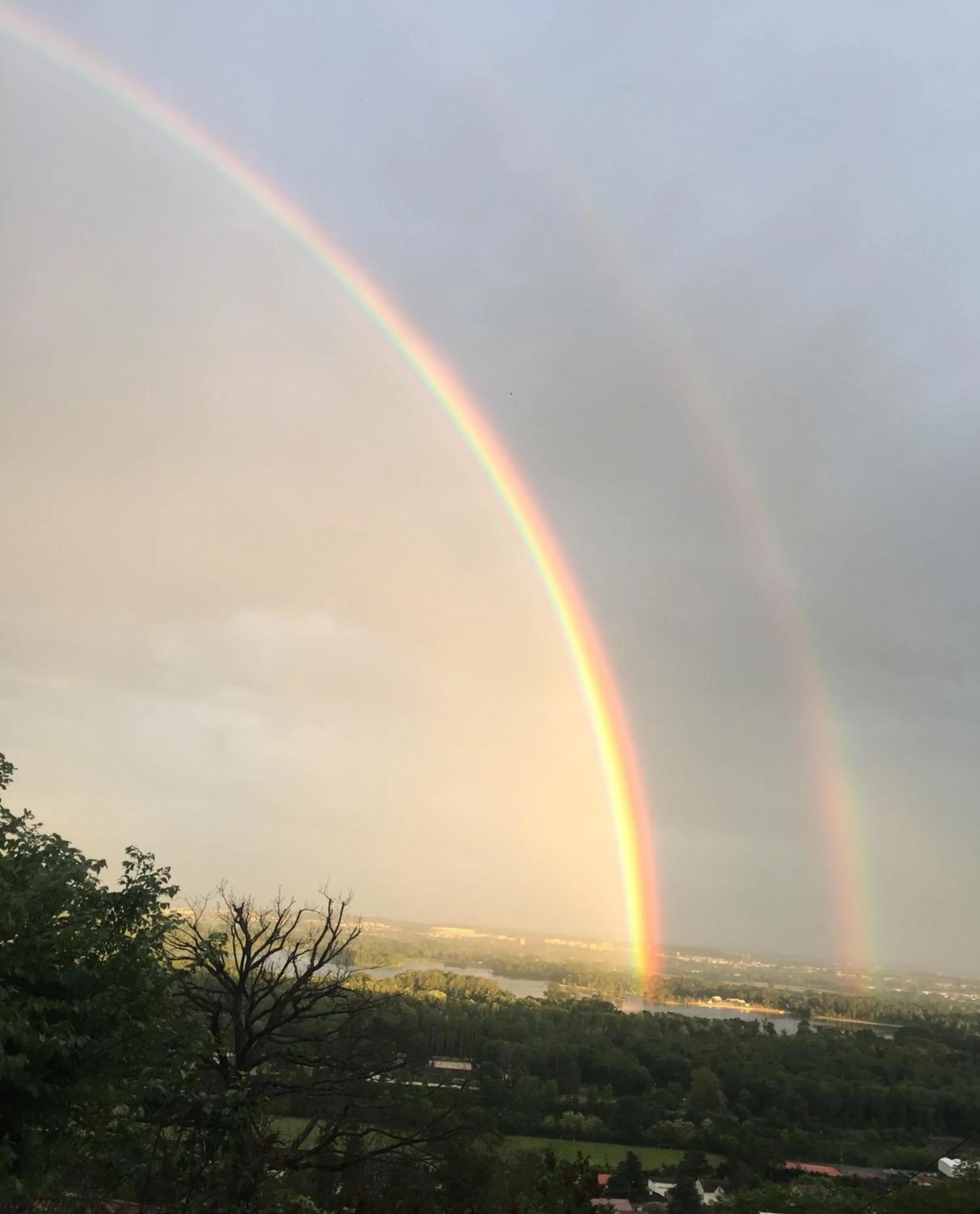 Bird's eye view in La Villa du Rhône