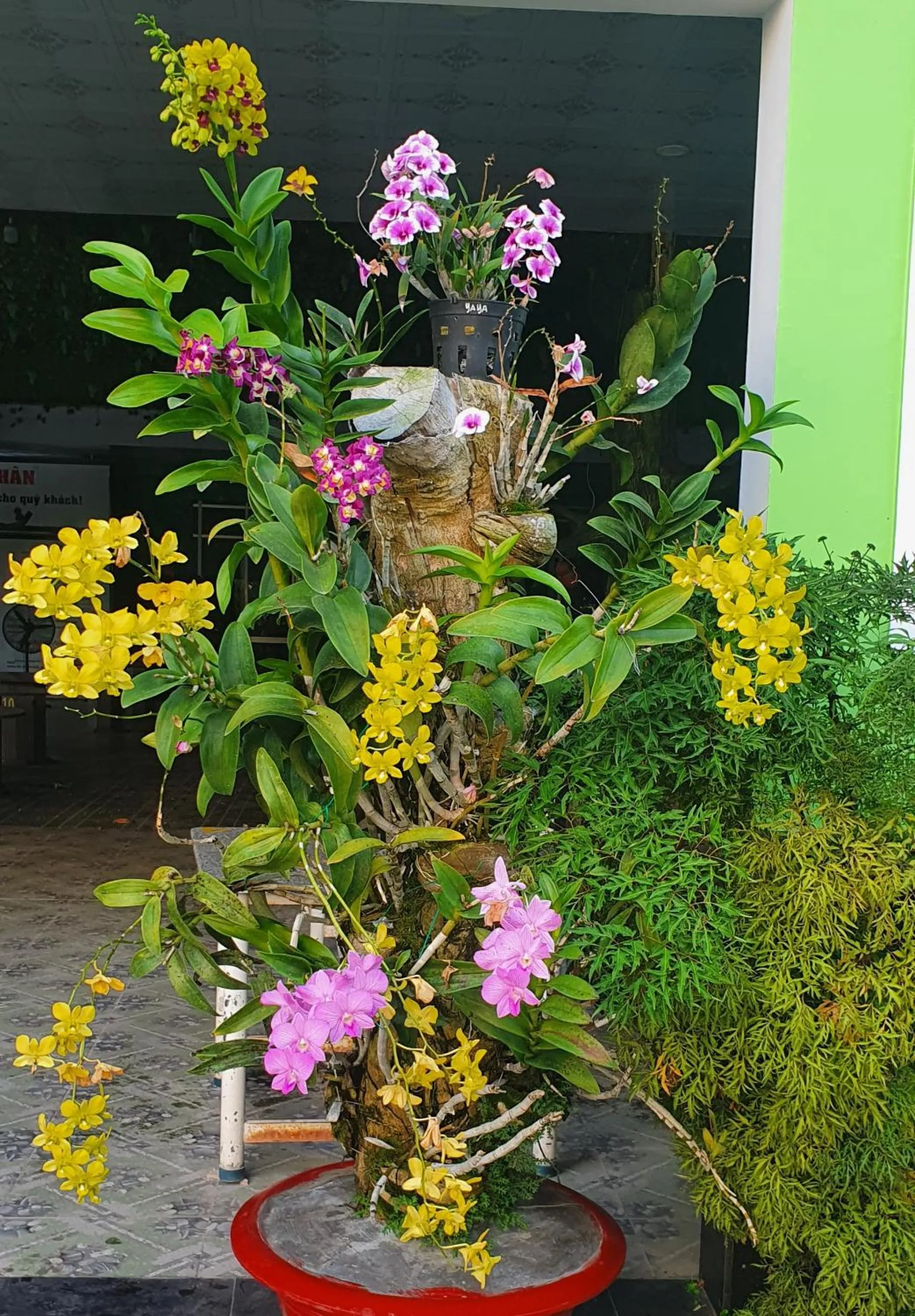 Garden in Khách Sạn Ngọc Hân