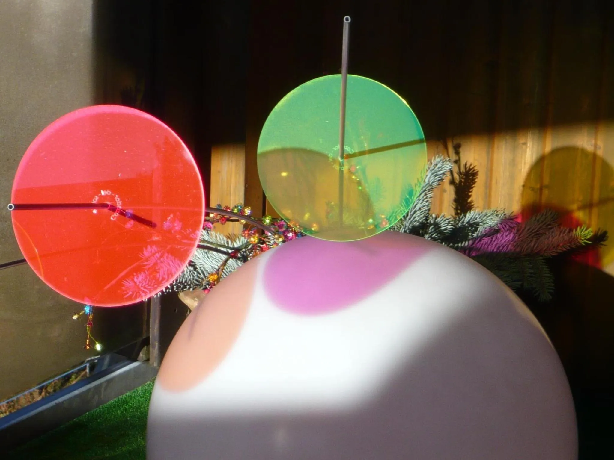 Garden in Hochwald Hotel & Apartment