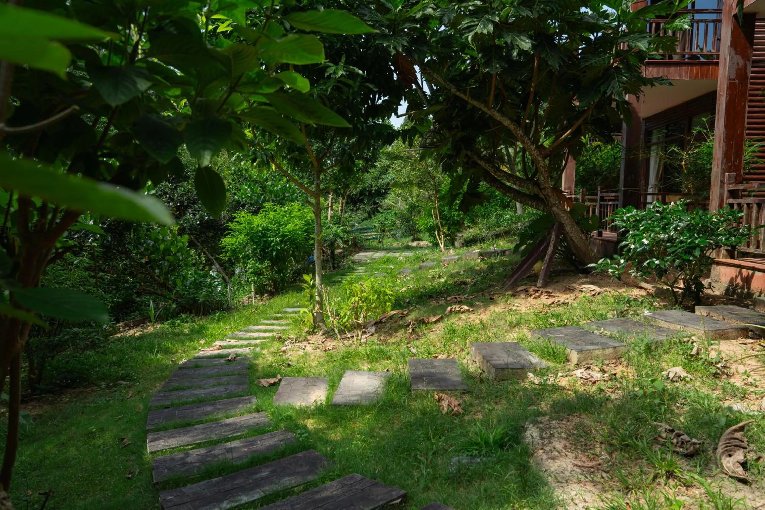 Natural landscape in Phu Quoc Bambusa Resort