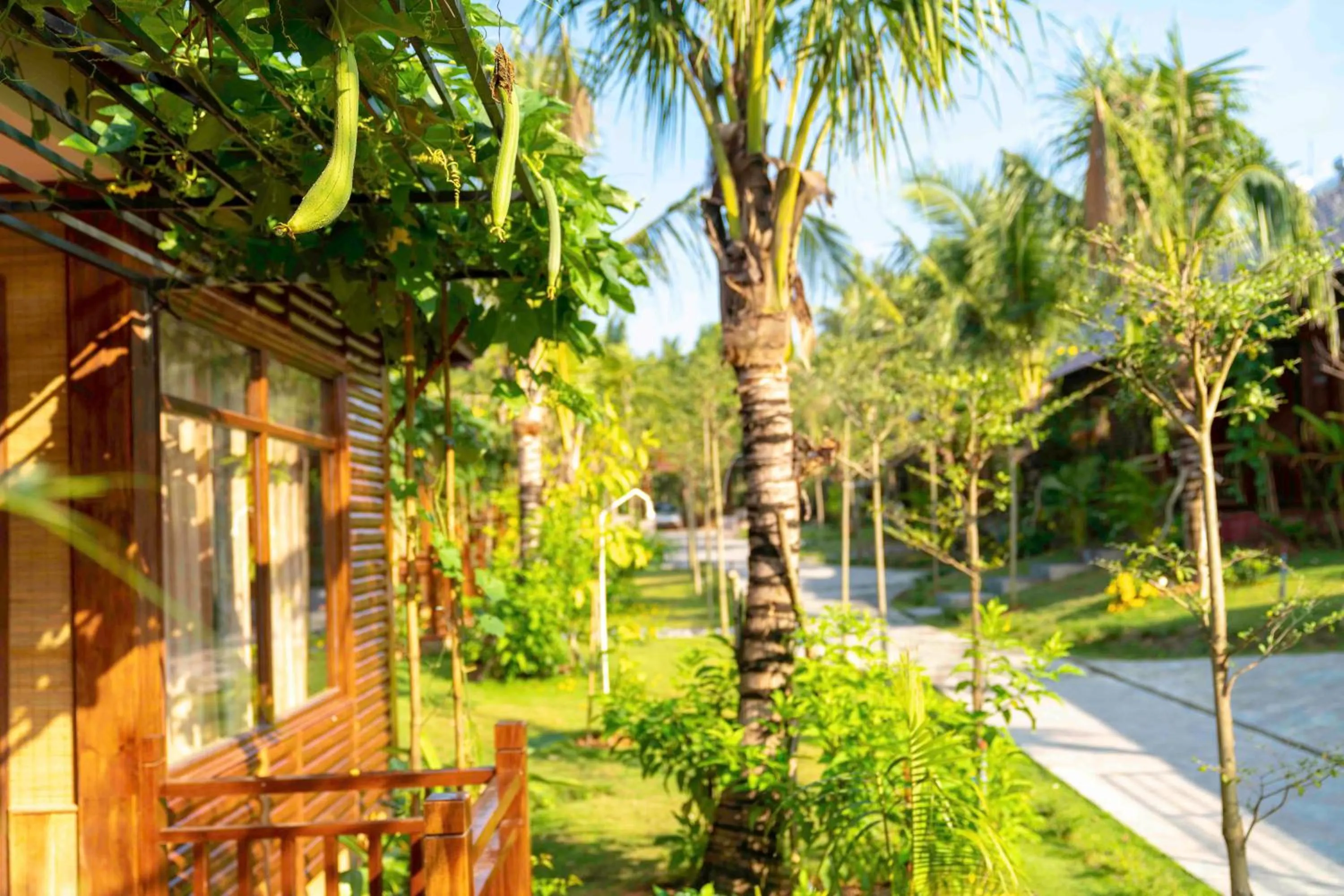 Patio in Phu Quoc Bambusa Resort