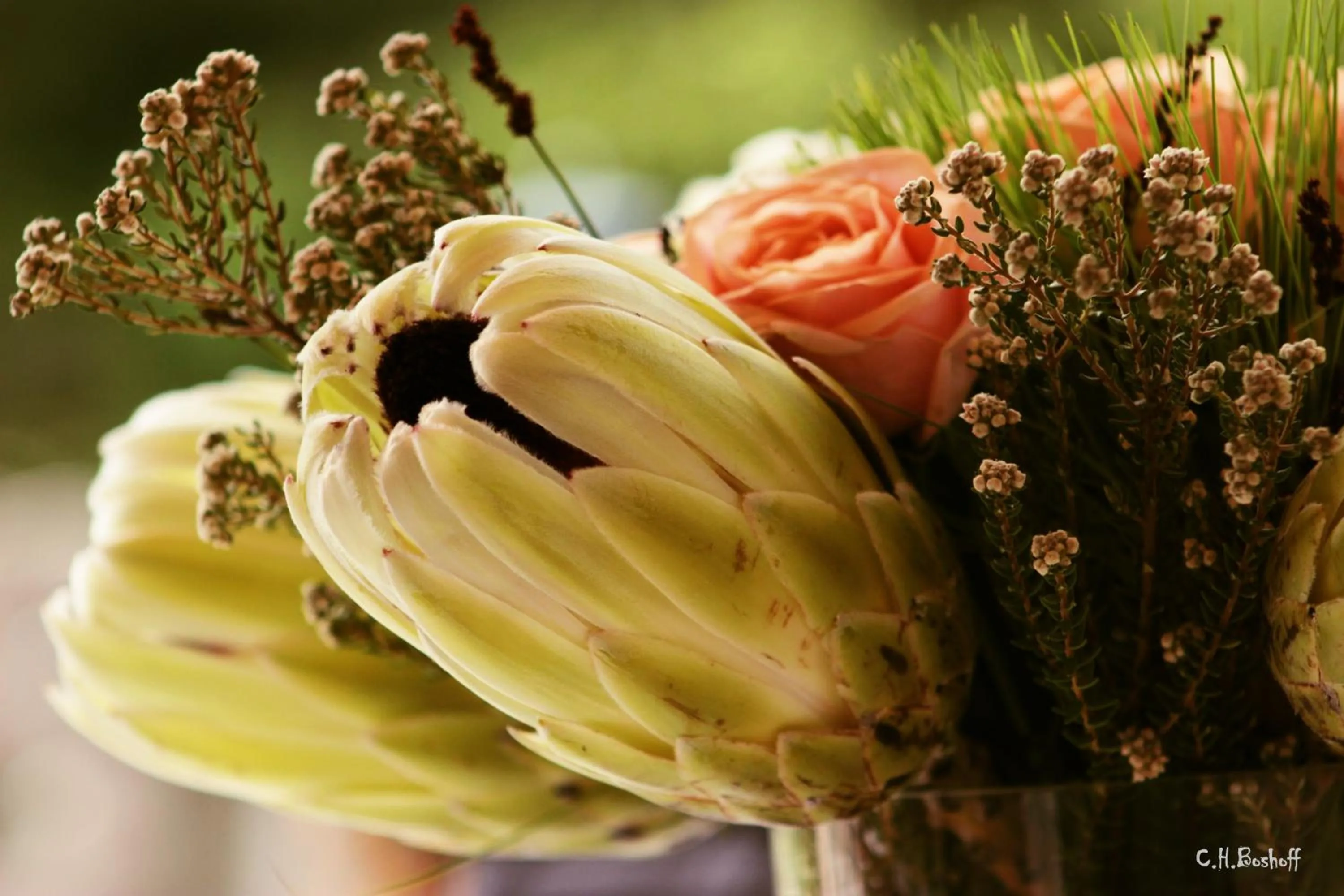 Decorative detail in Vredenburg Manor House
