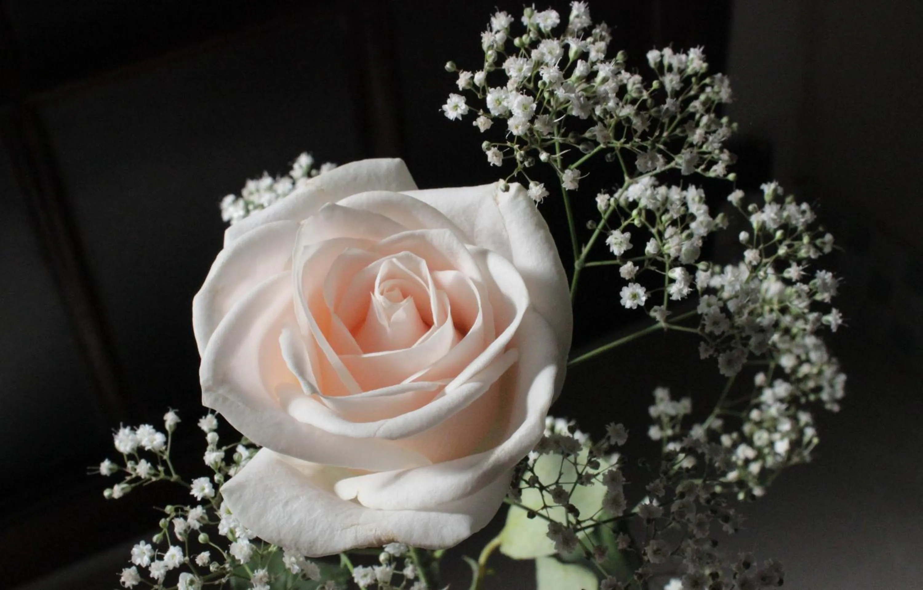 Decorative detail in Vredenburg Manor House