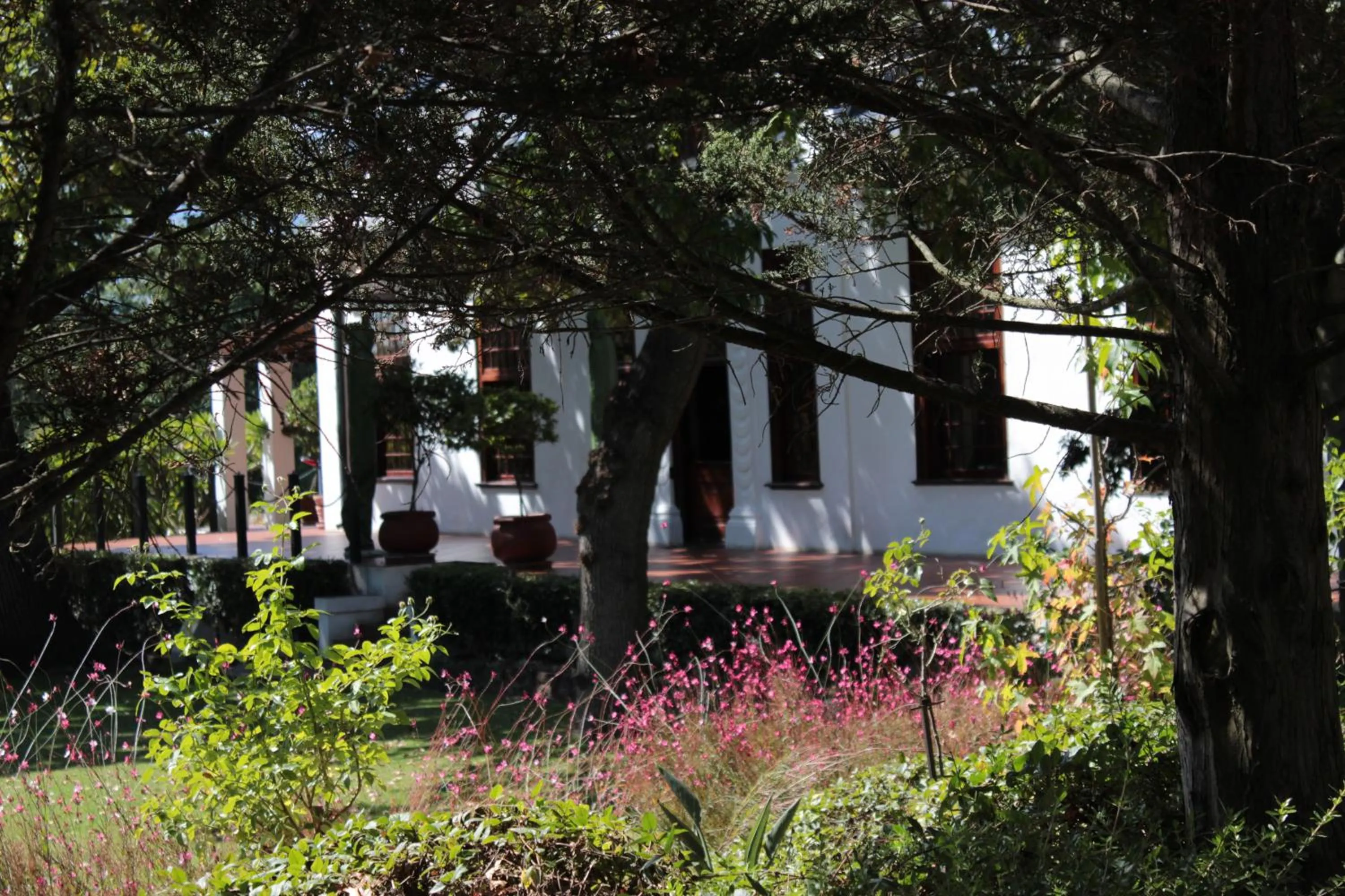 Garden in Vredenburg Manor House