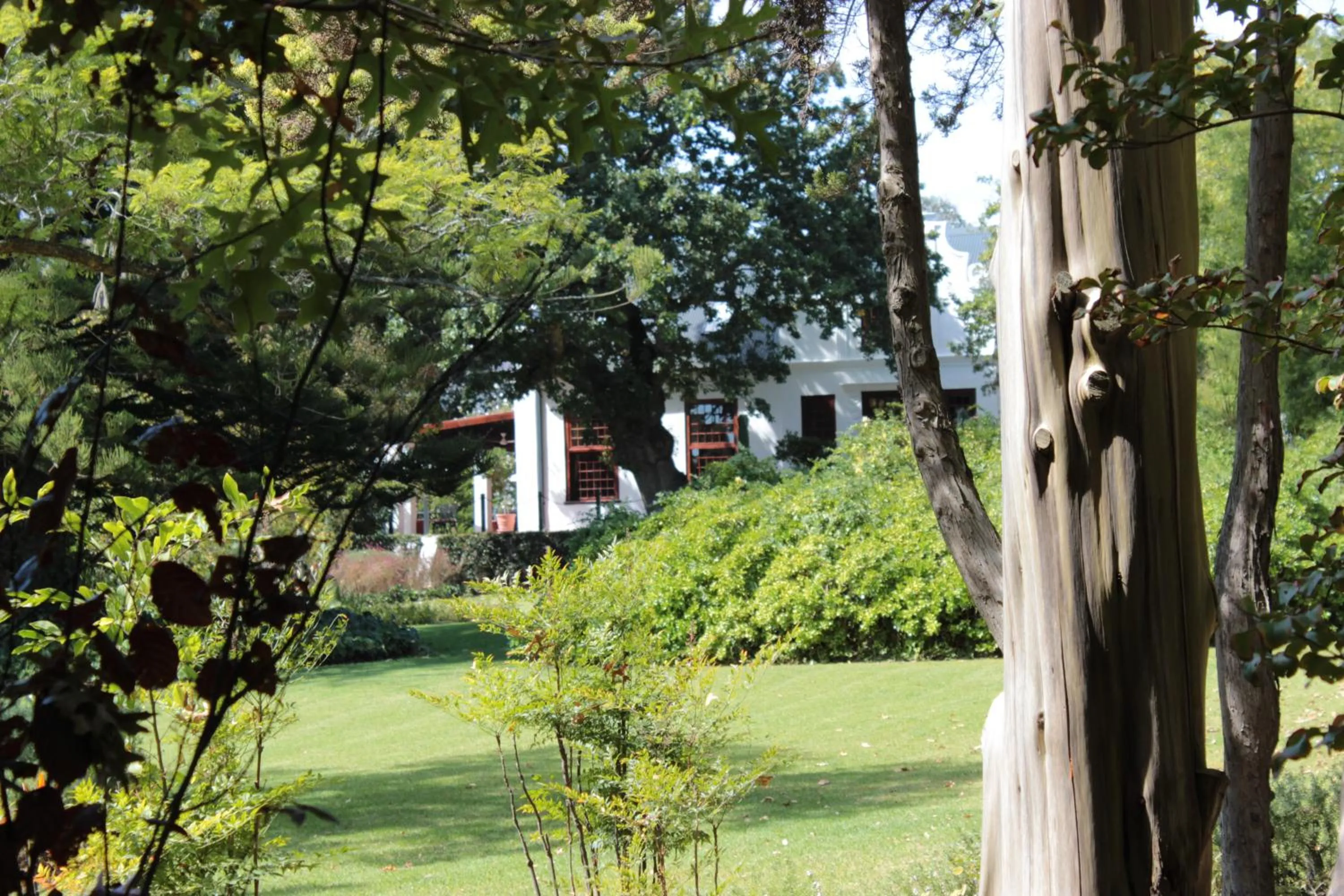 Garden in Vredenburg Manor House
