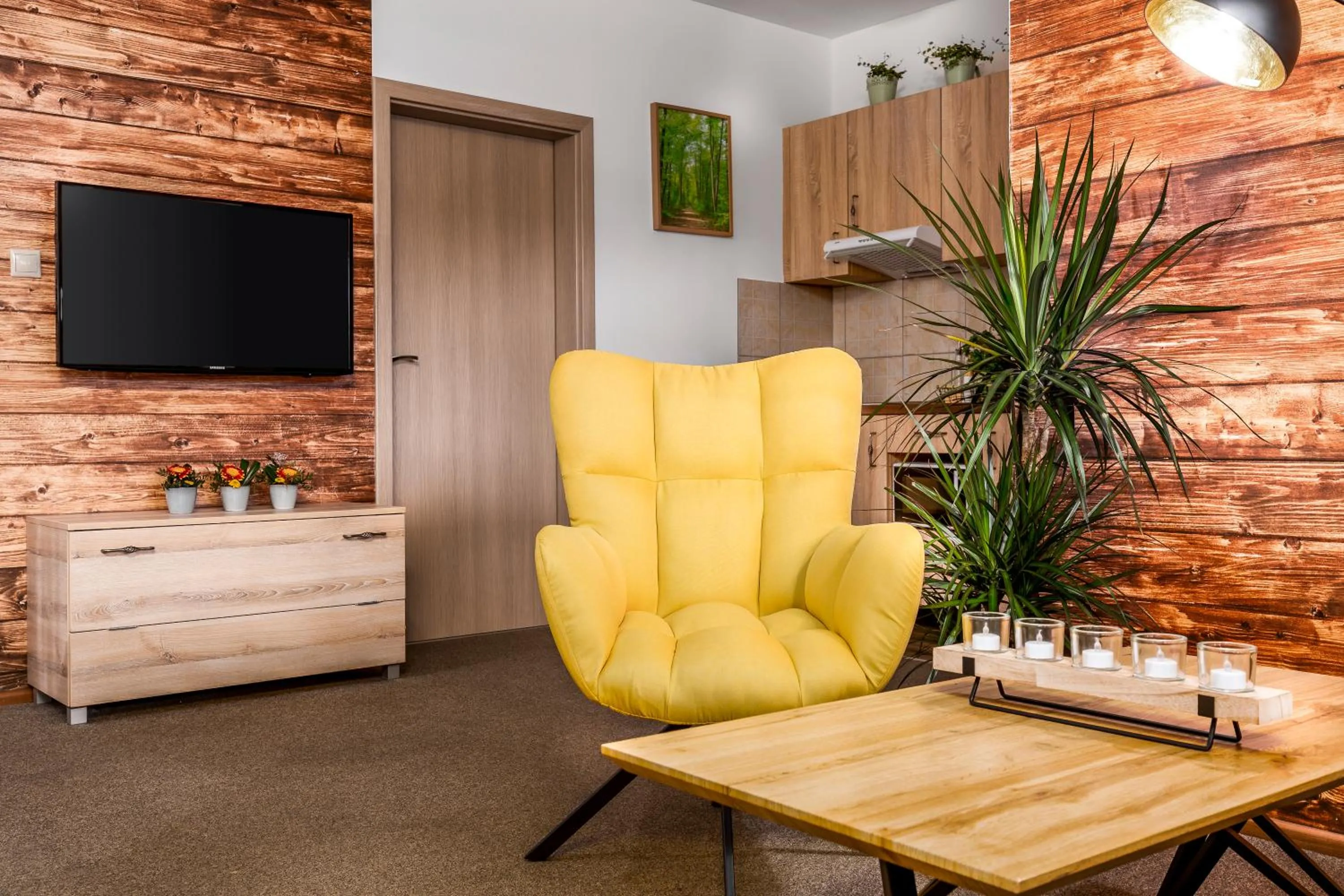 TV and multimedia in Hilson Jasna - Garden resort