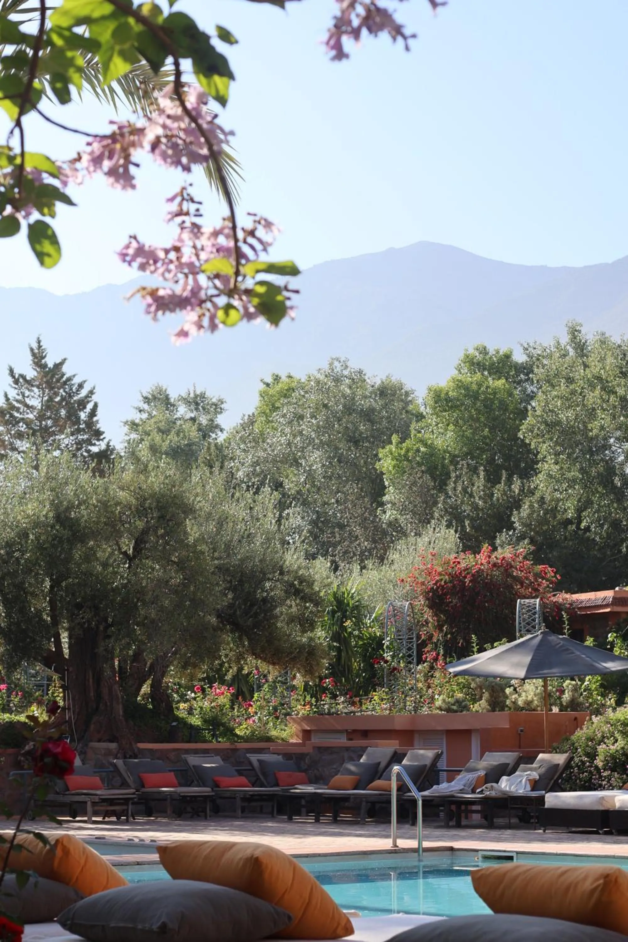 Garden in Domaine de la Roseraie Resort