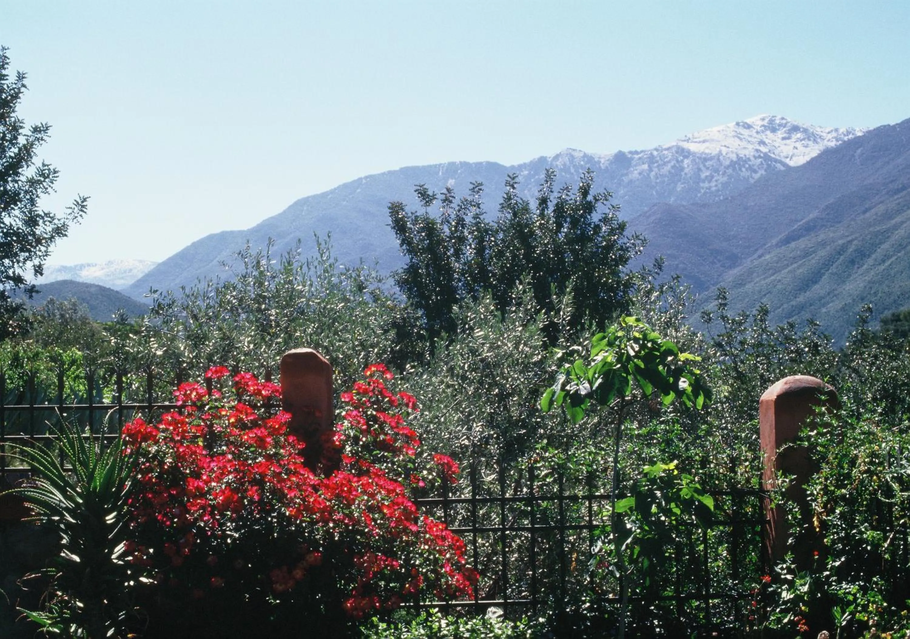 Natural landscape in Domaine de la Roseraie Resort