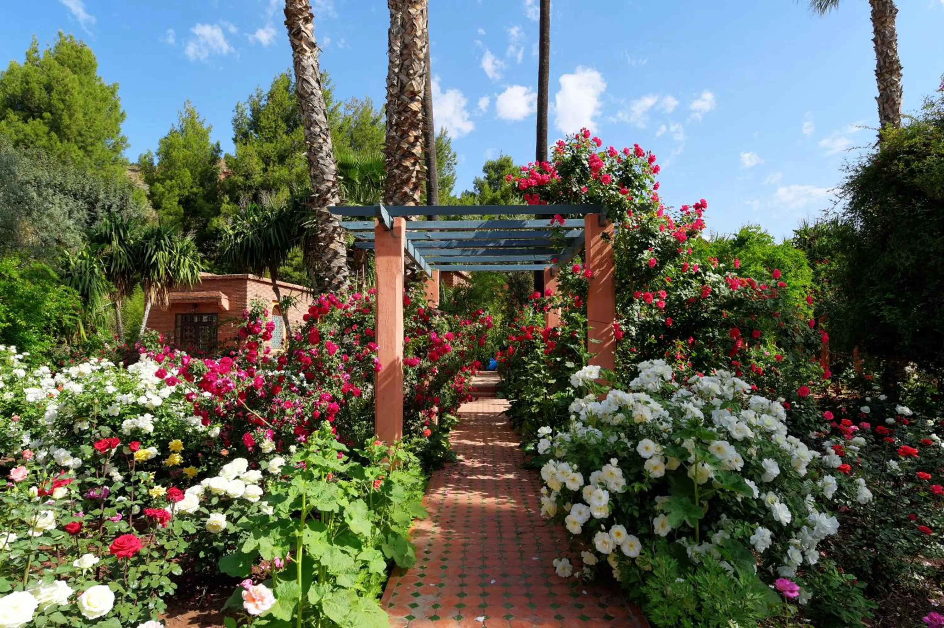 Patio in Domaine de la Roseraie Resort