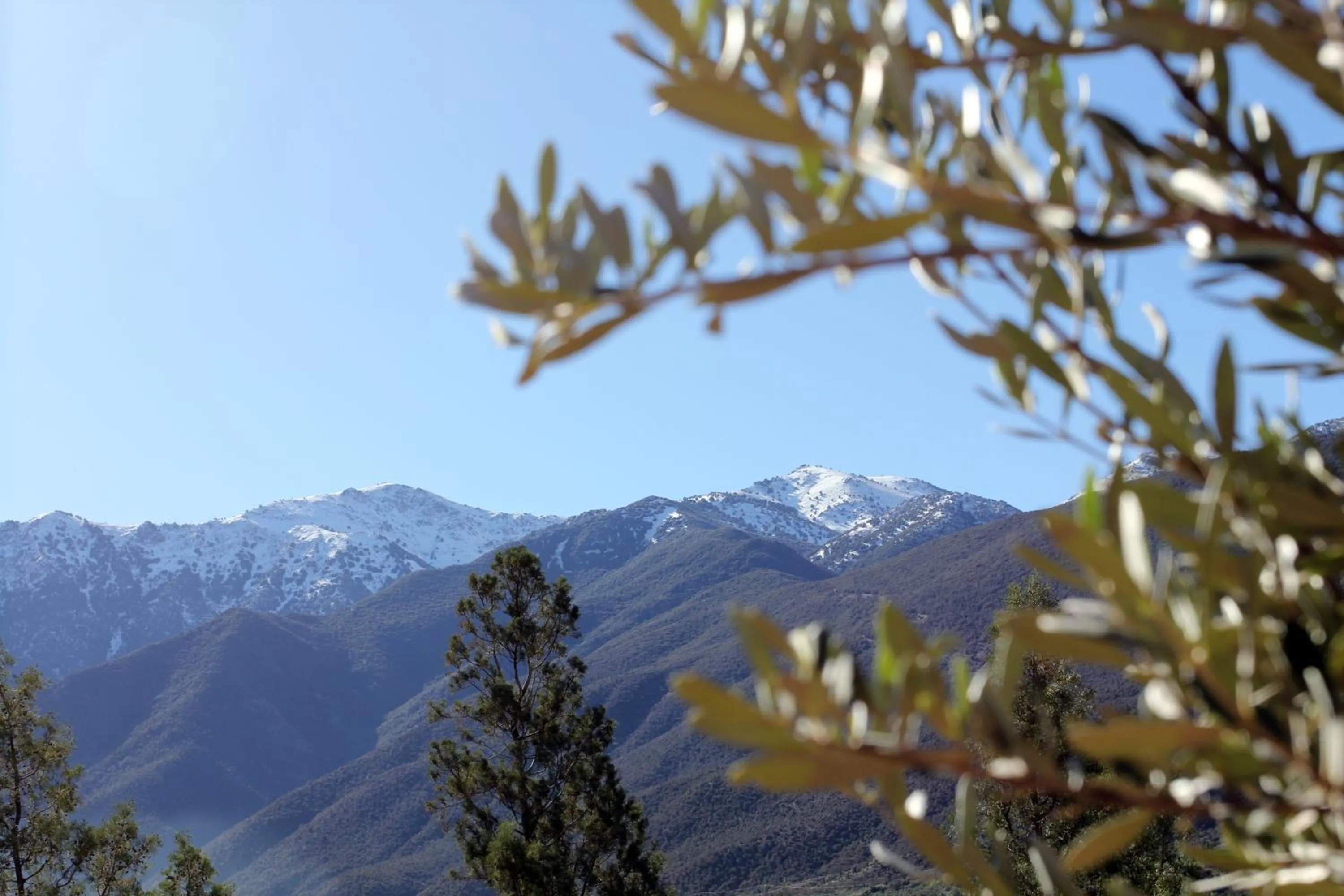 Nearby landmark in Domaine de la Roseraie Resort