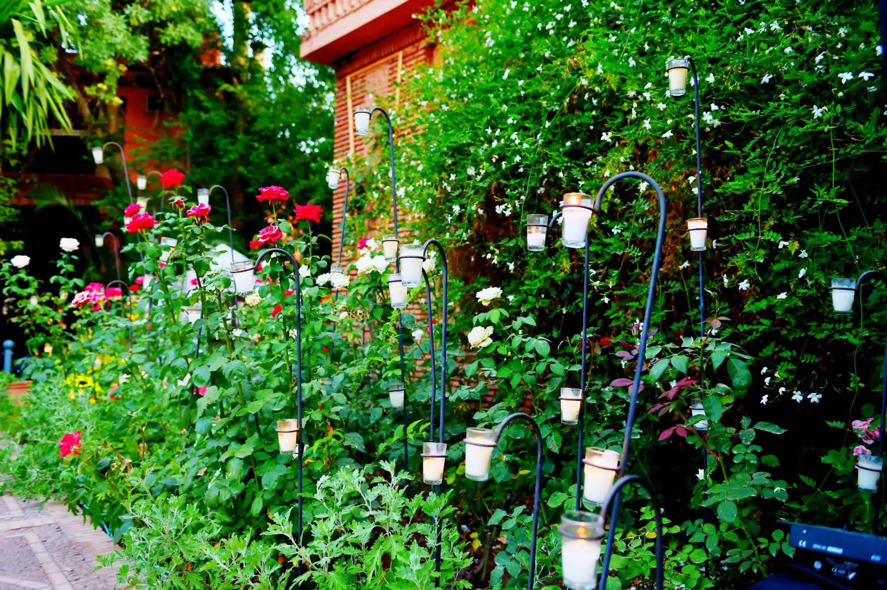 Activities in Domaine de la Roseraie Resort