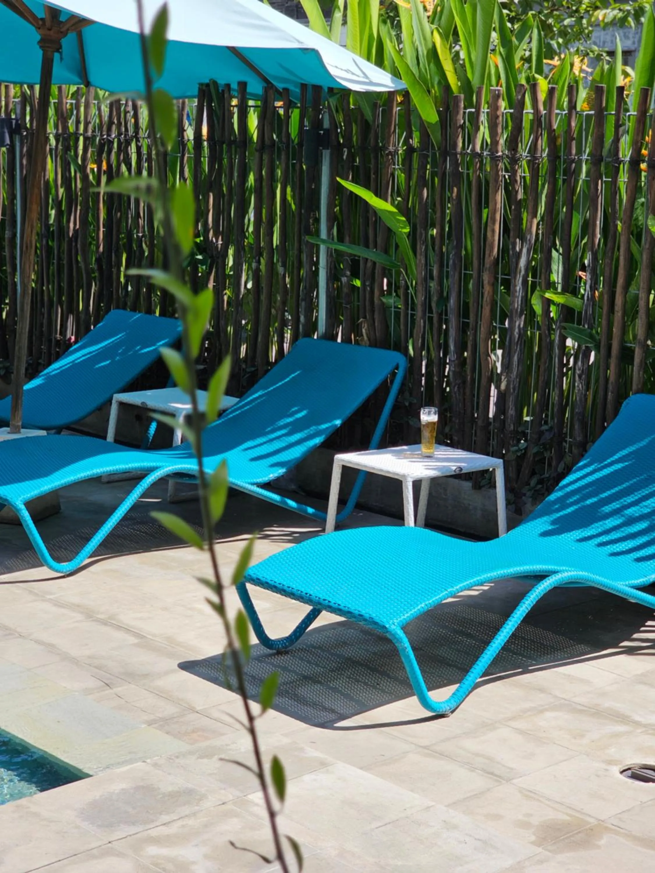 Swimming pool in Wasabi