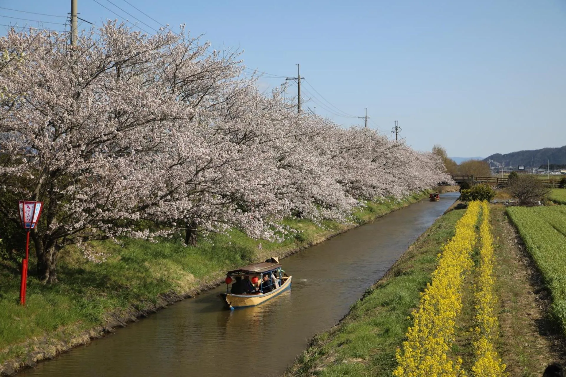 Spring in Stay Omihachiman Ekimae Inn