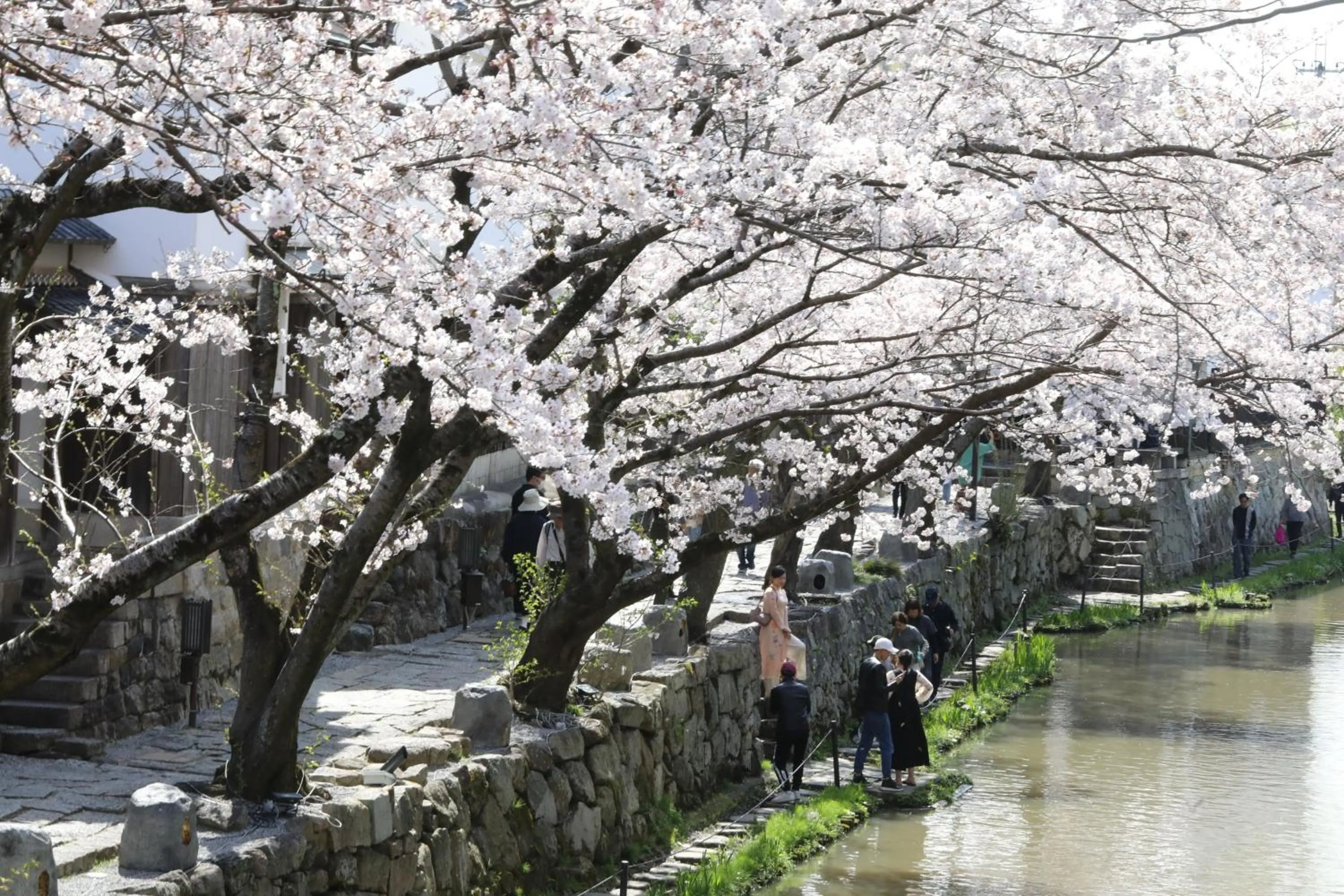 Natural landscape in Stay Omihachiman Ekimae Inn