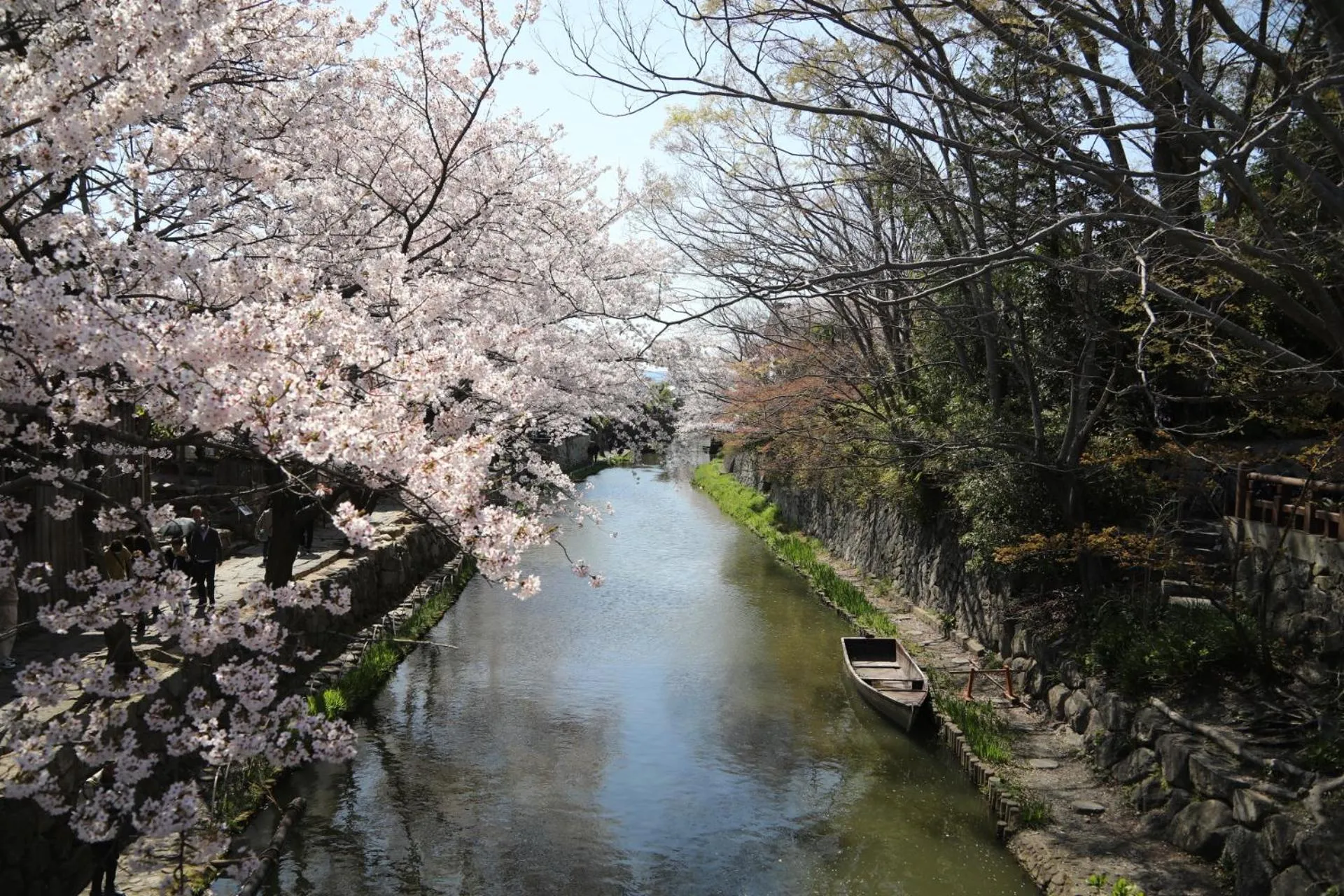 Spring in Stay Omihachiman Ekimae Inn