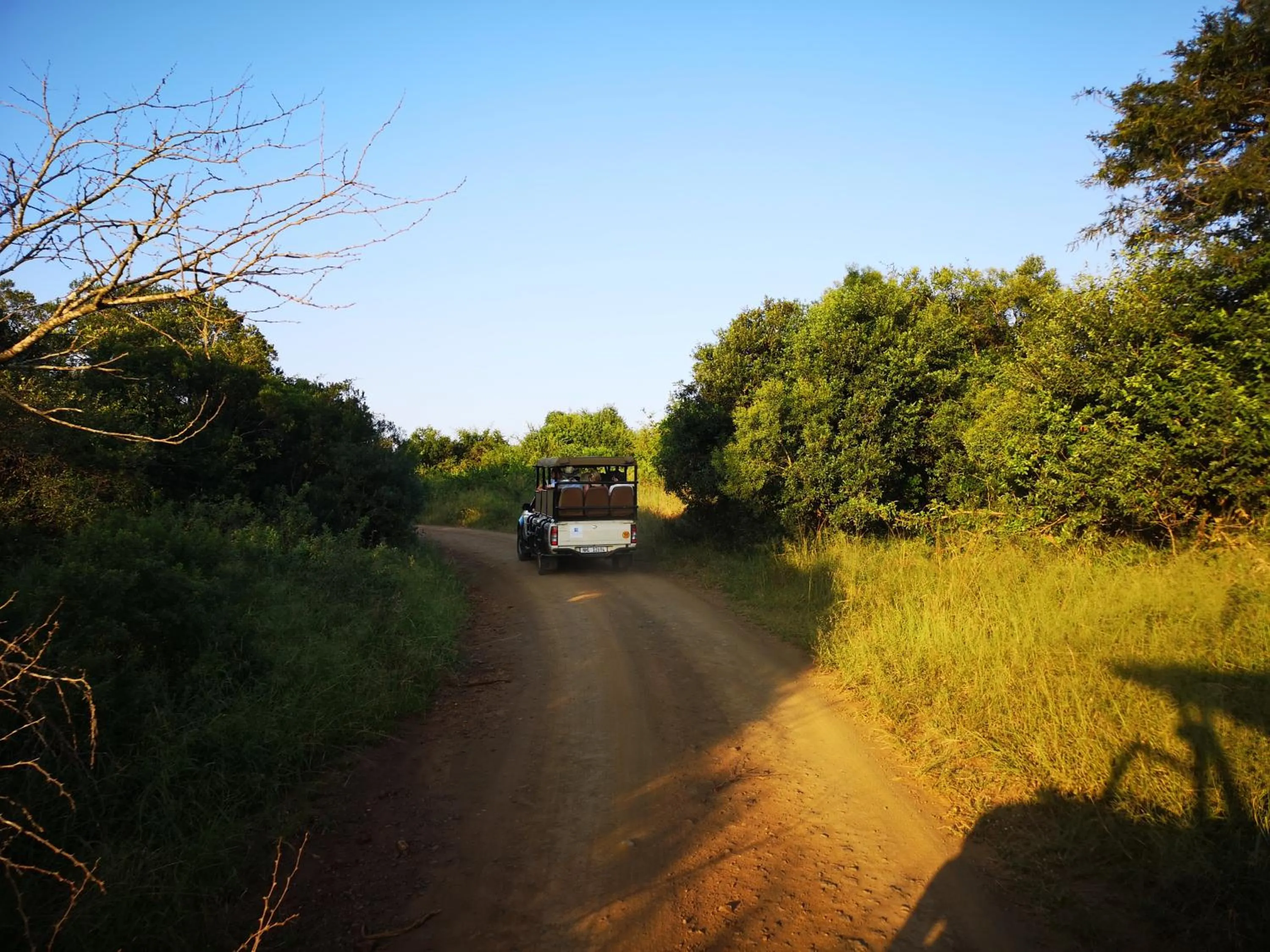 Natural landscape in Gooderson Bushlands Game Lodge