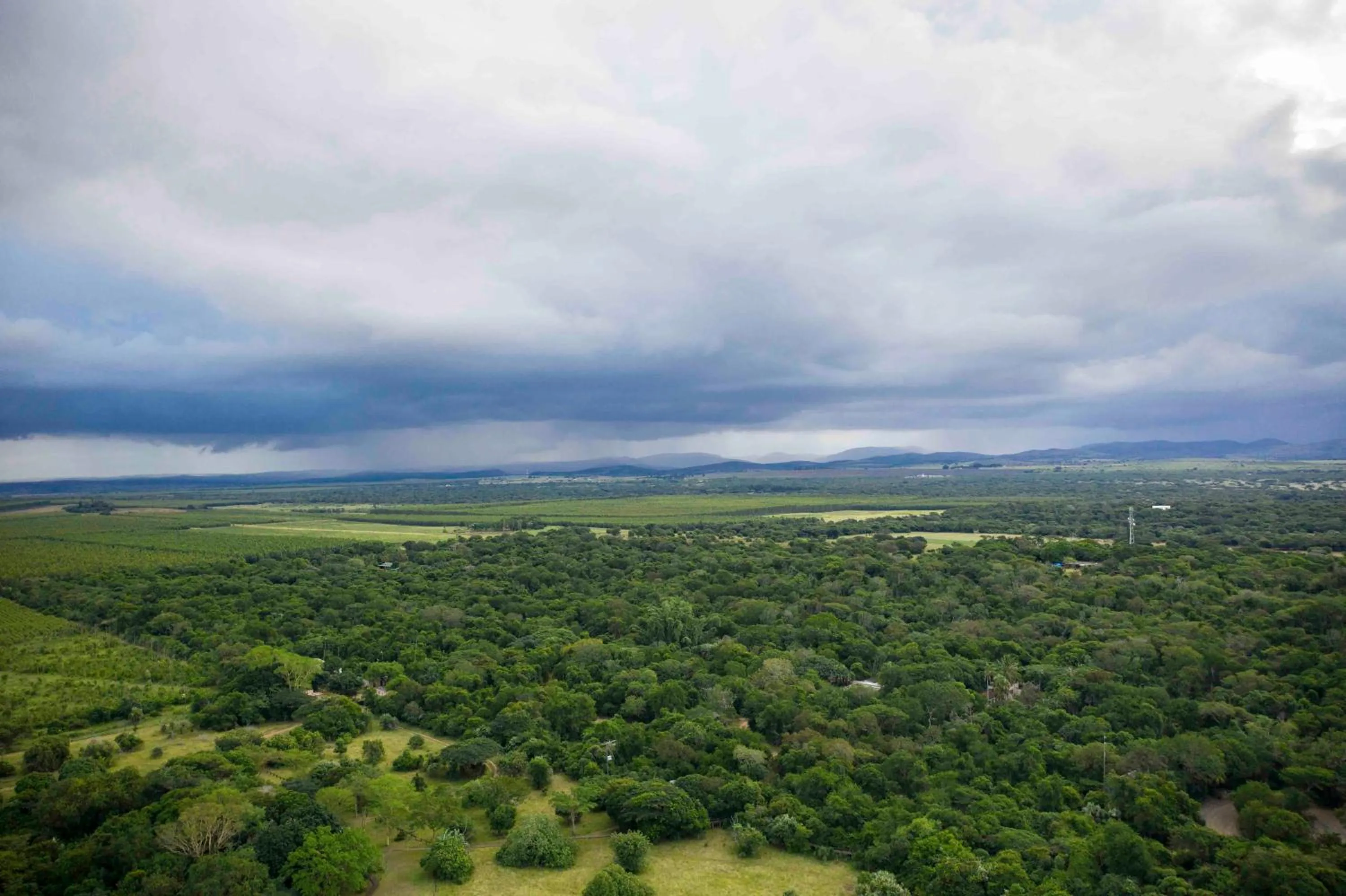 Natural landscape in Gooderson Bushlands Game Lodge