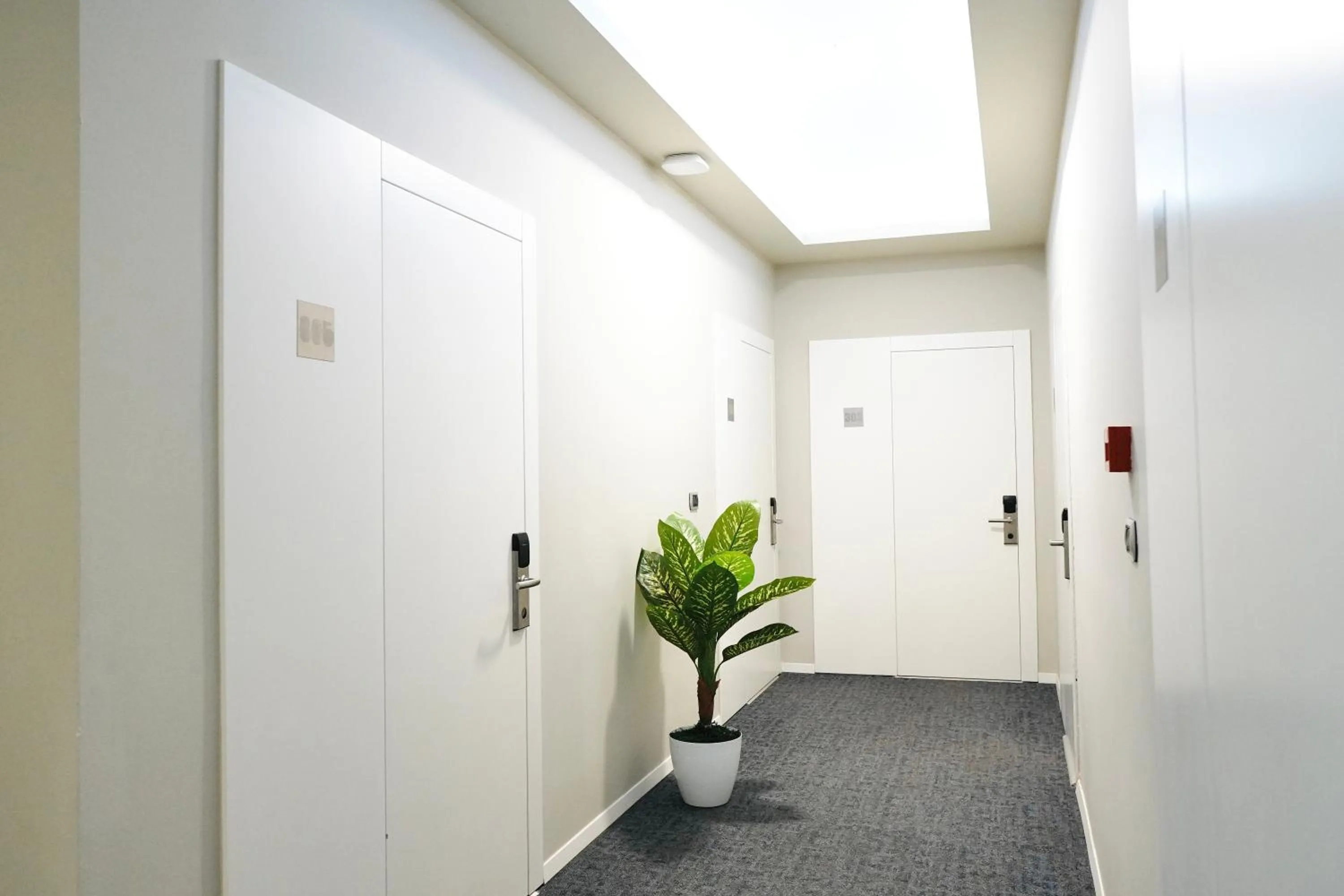 Bedroom in Hotel Blue Sky
