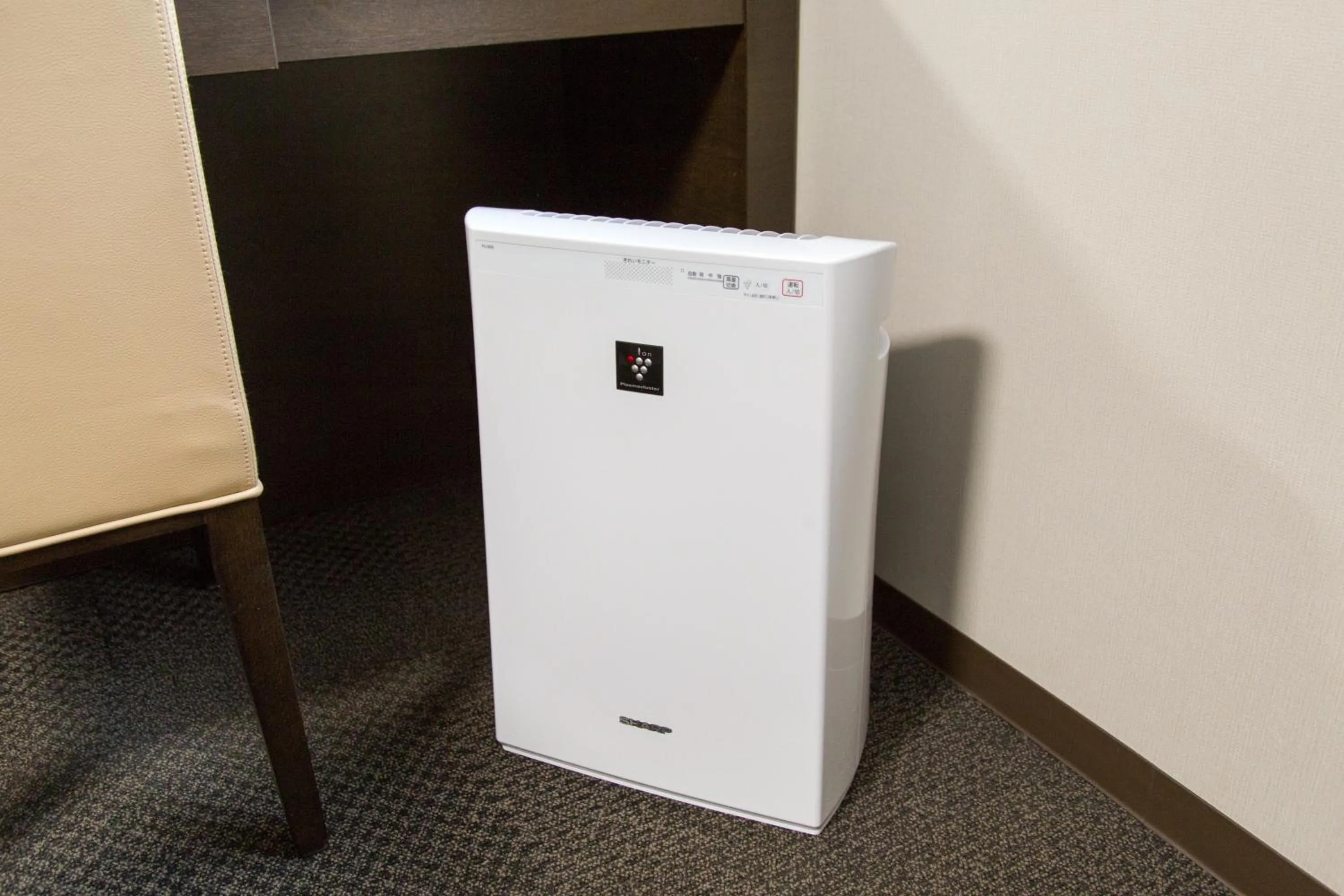 Photo of the whole room in Hotel New Palace