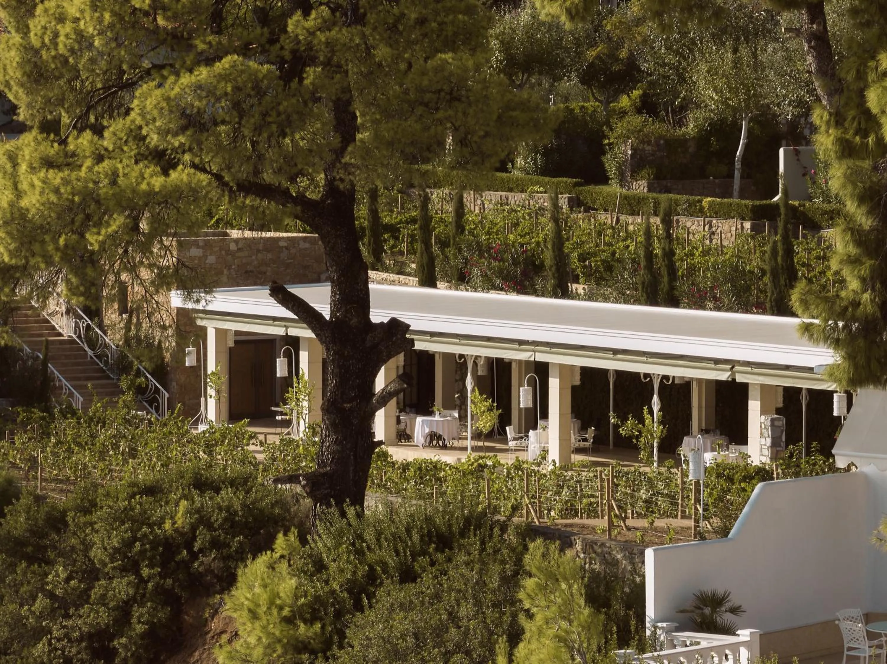 Area and facilities in The Danai