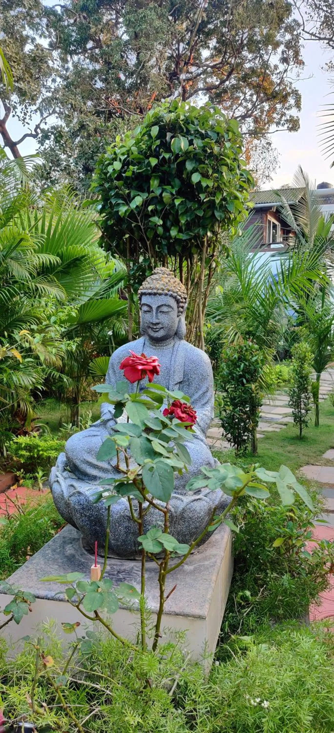 Garden view in JP Resort