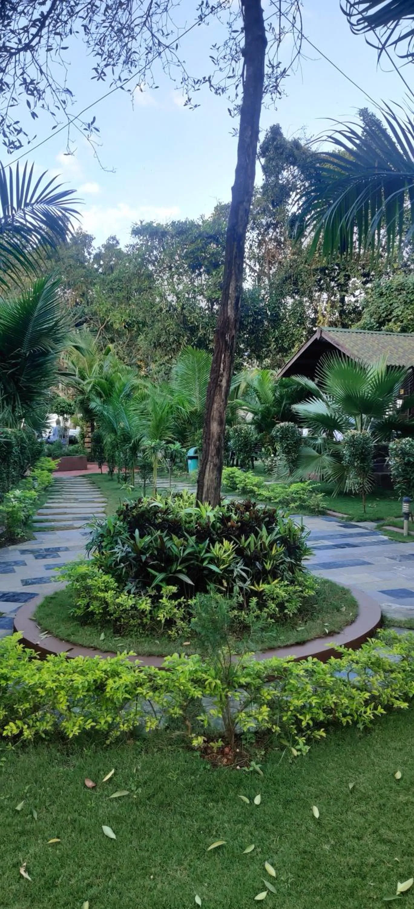 Natural landscape in JP Resort