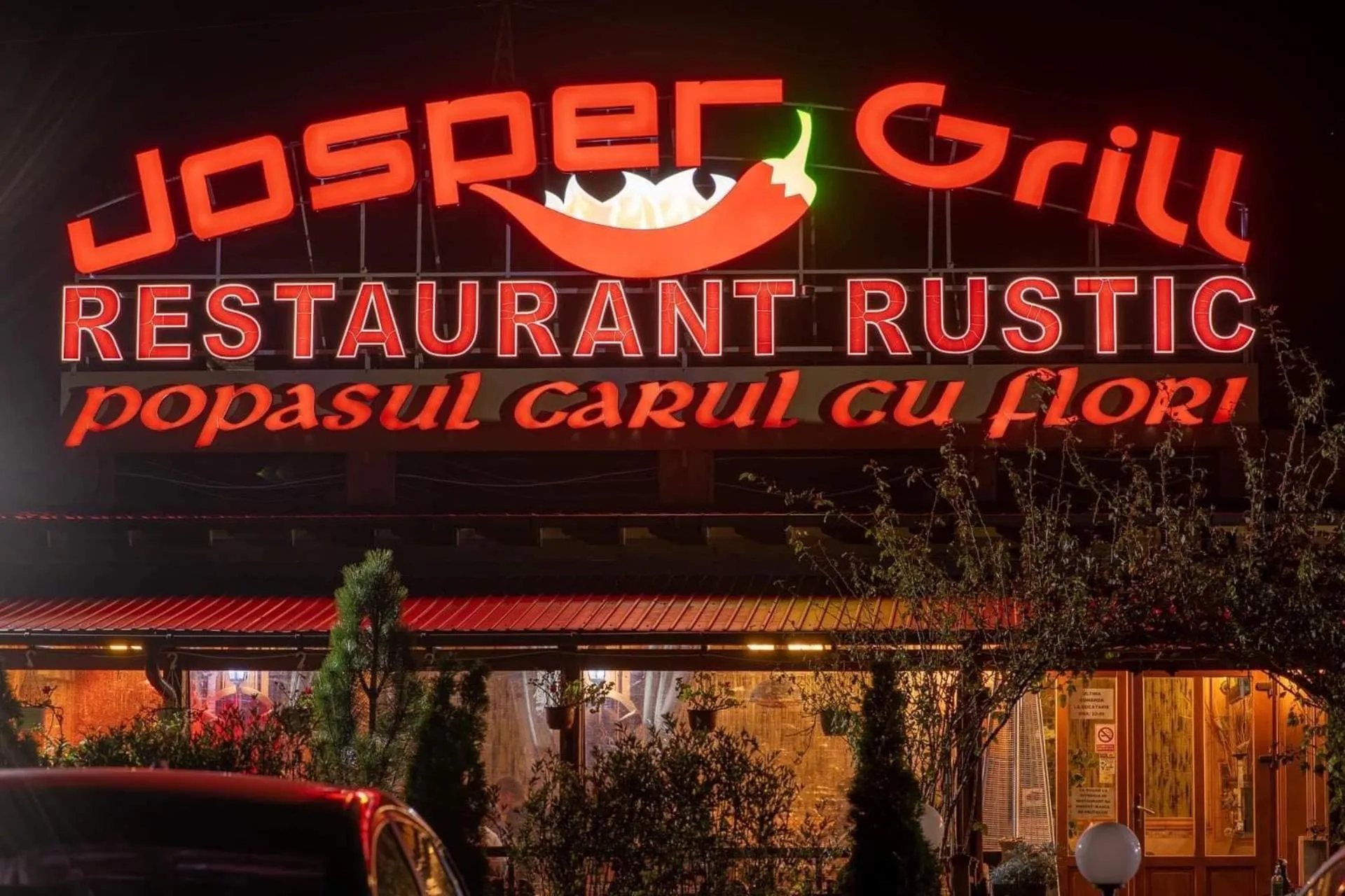 Restaurant/places to eat in Pensiunea Carul cu flori