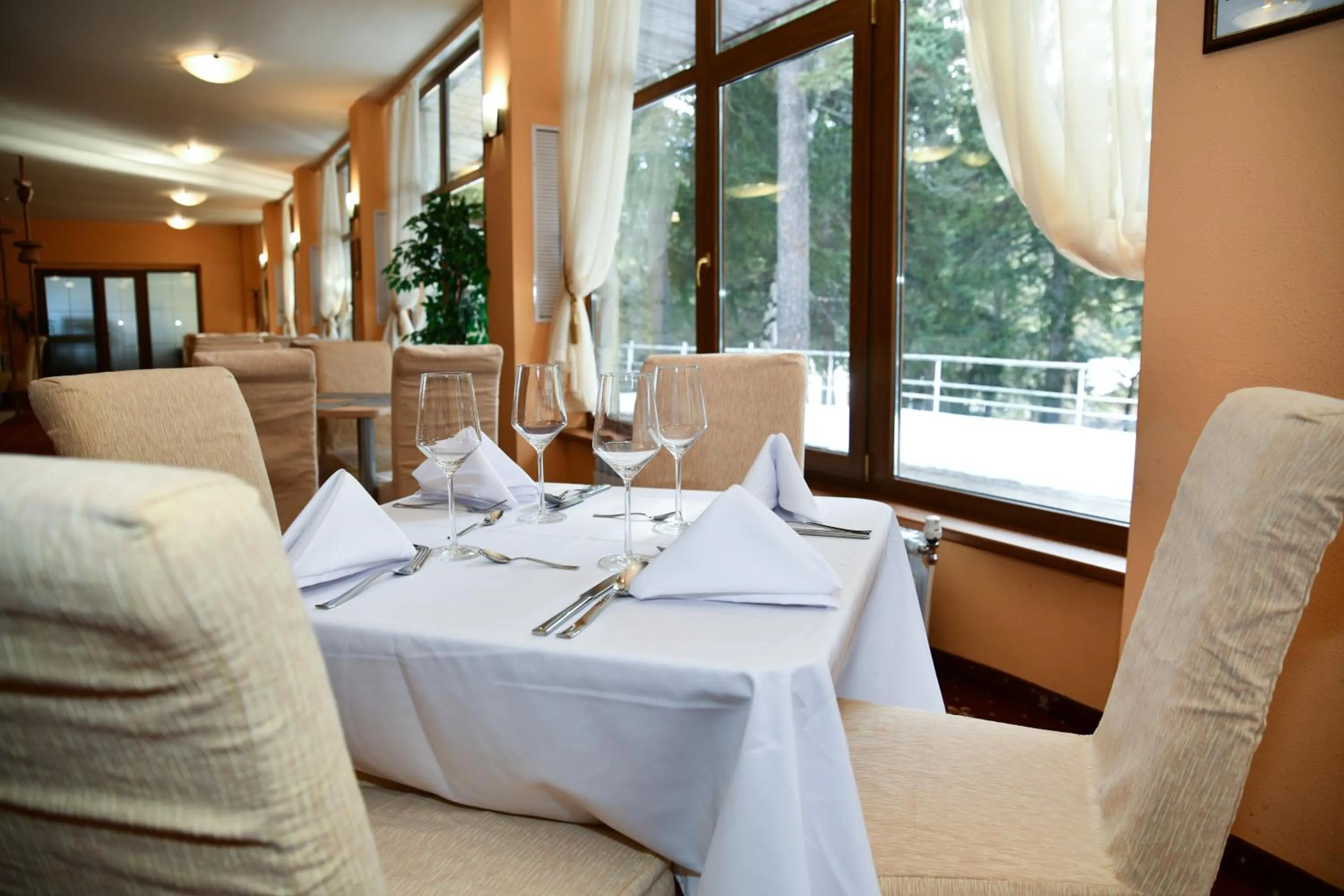 Restaurant/places to eat in Hotel Borovets Edelweiss