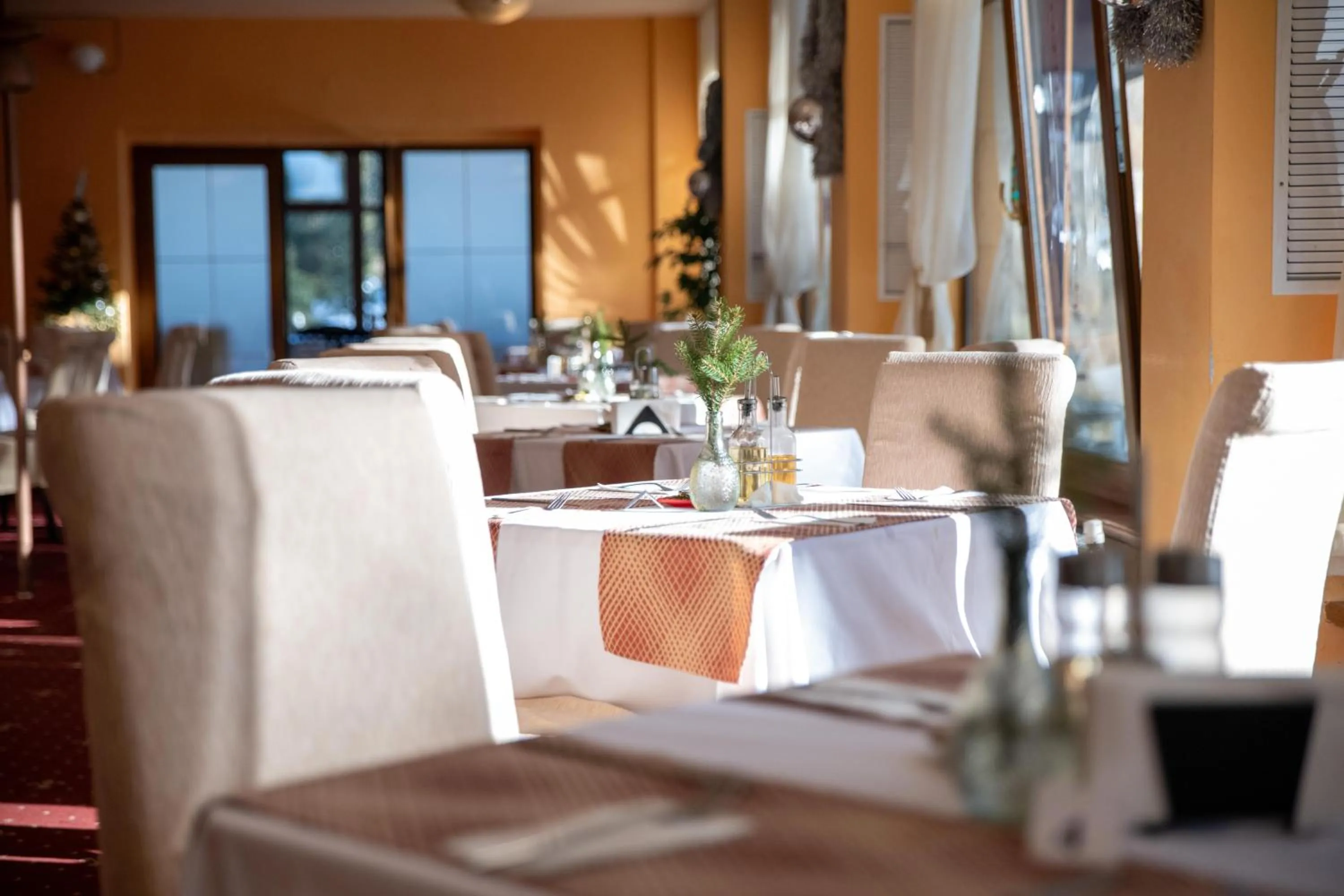 Restaurant/places to eat in Hotel Borovets Edelweiss