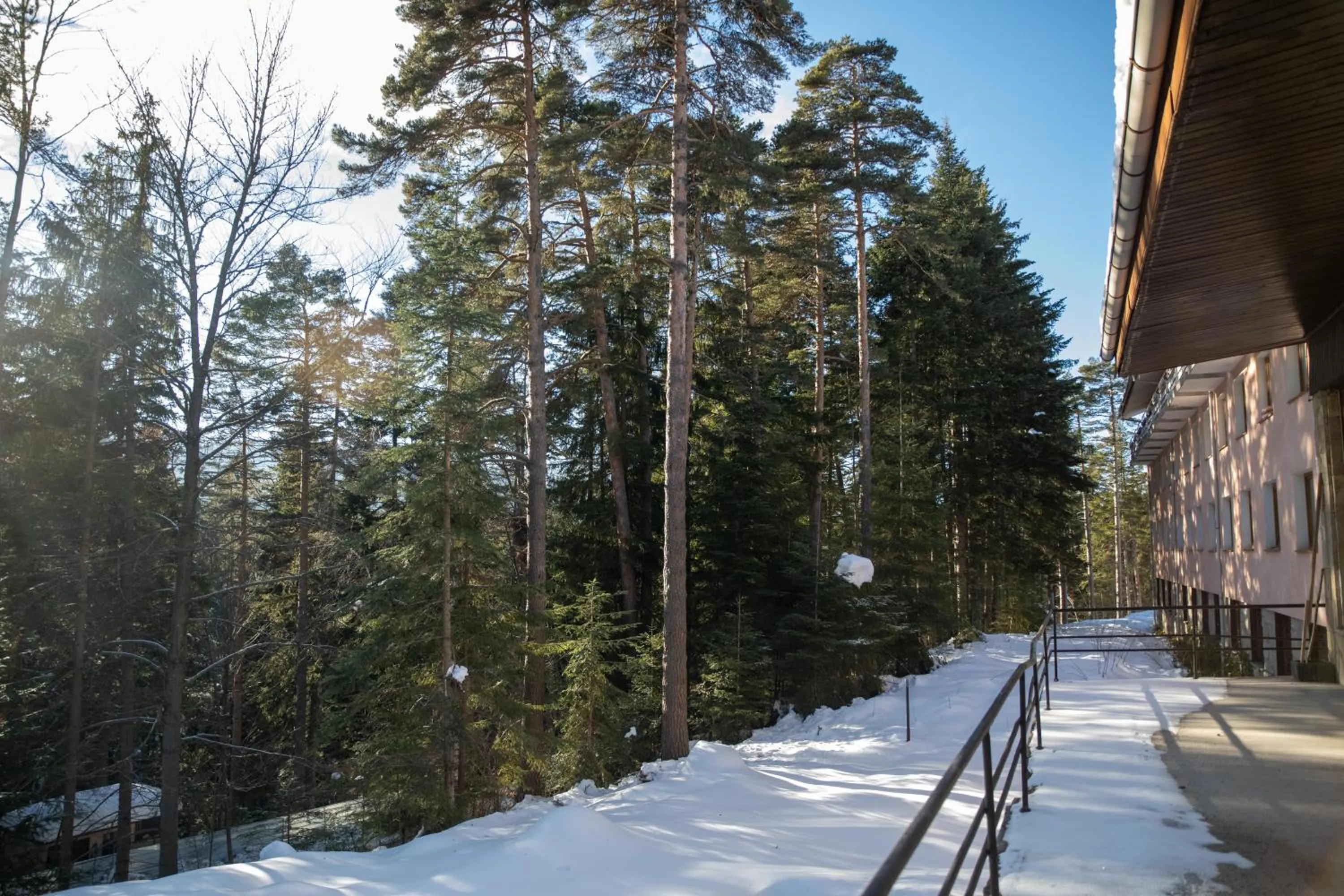 Property building in Hotel Borovets Edelweiss