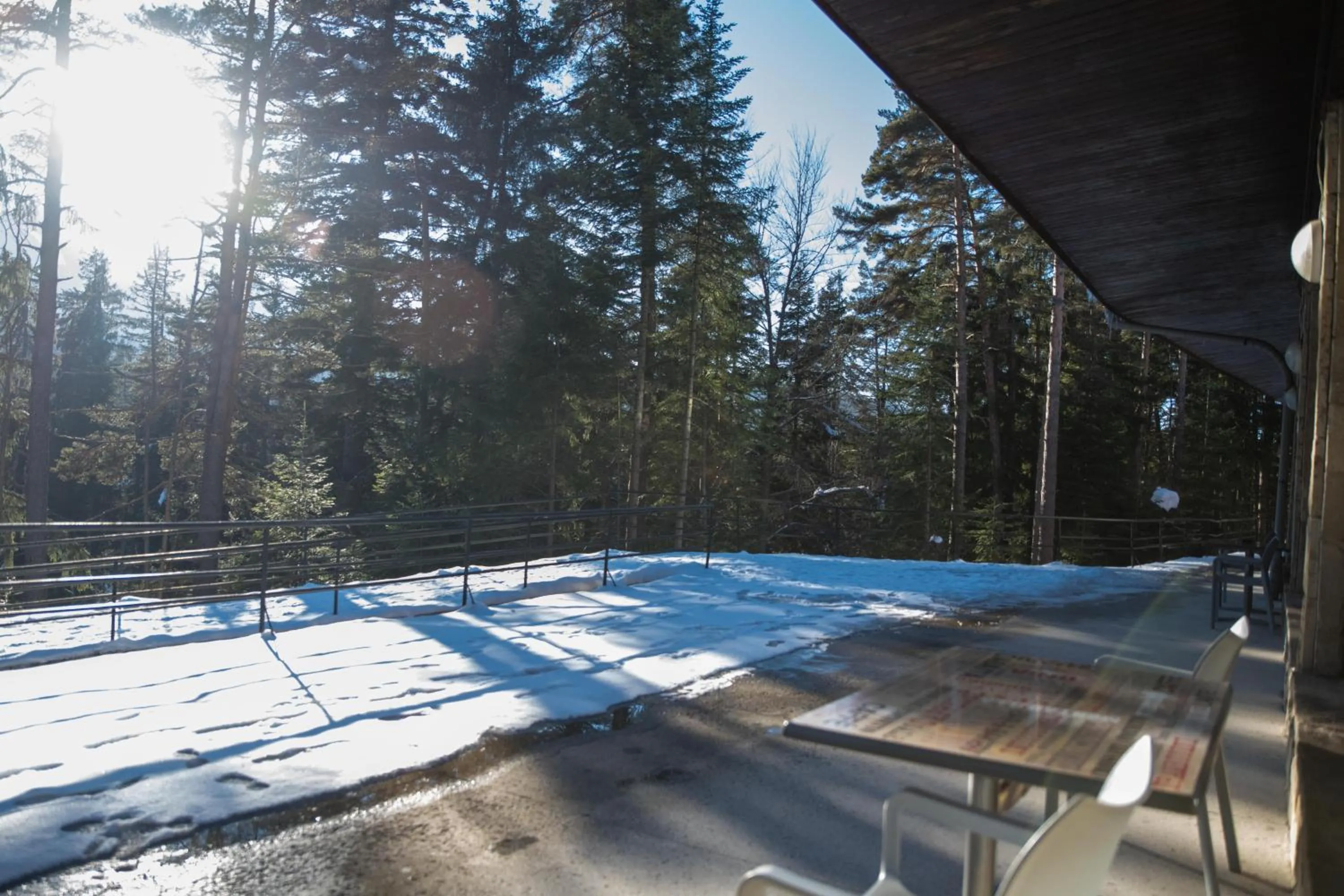 View (from property/room) in Hotel Borovets Edelweiss