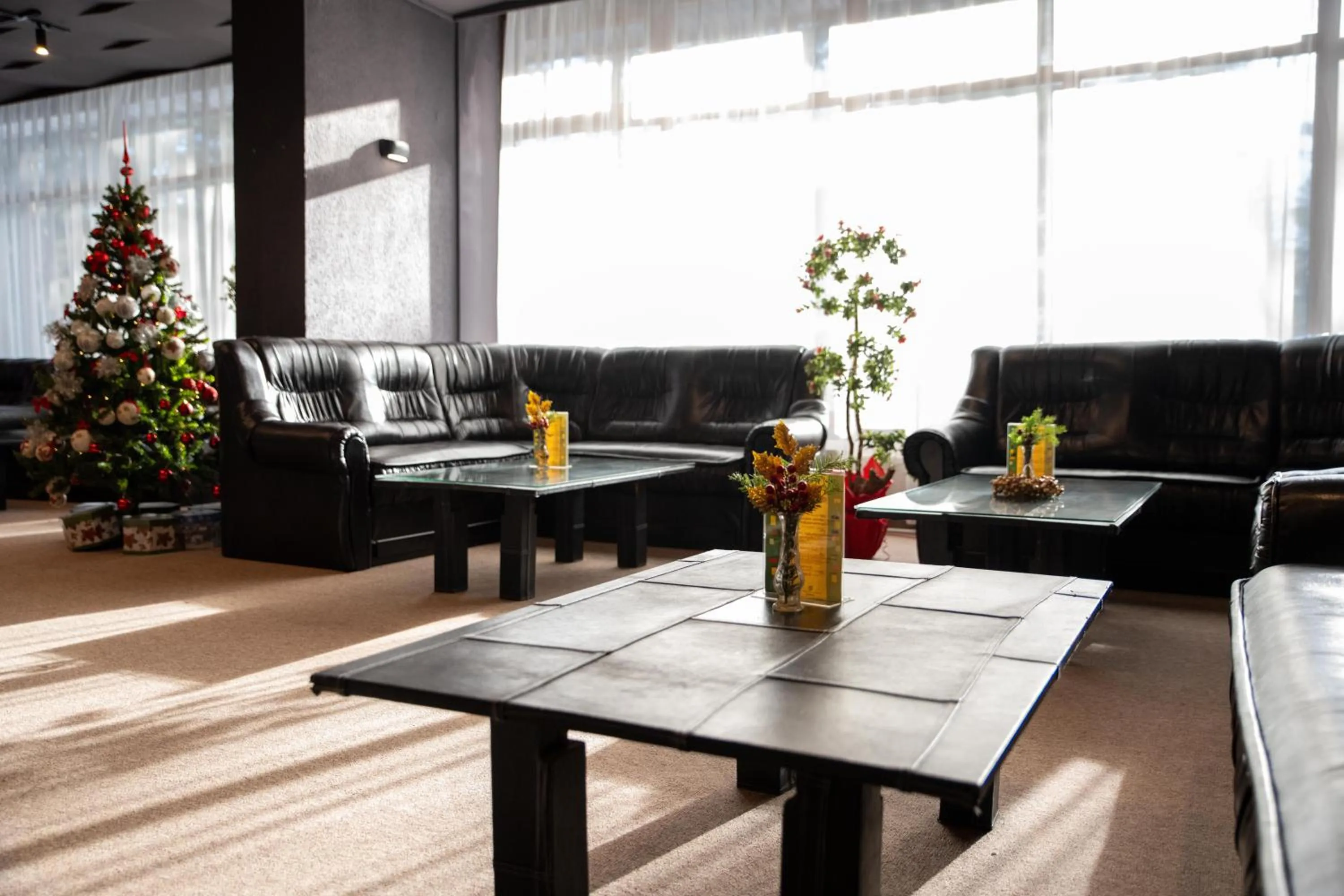 Lobby or reception in Hotel Borovets Edelweiss