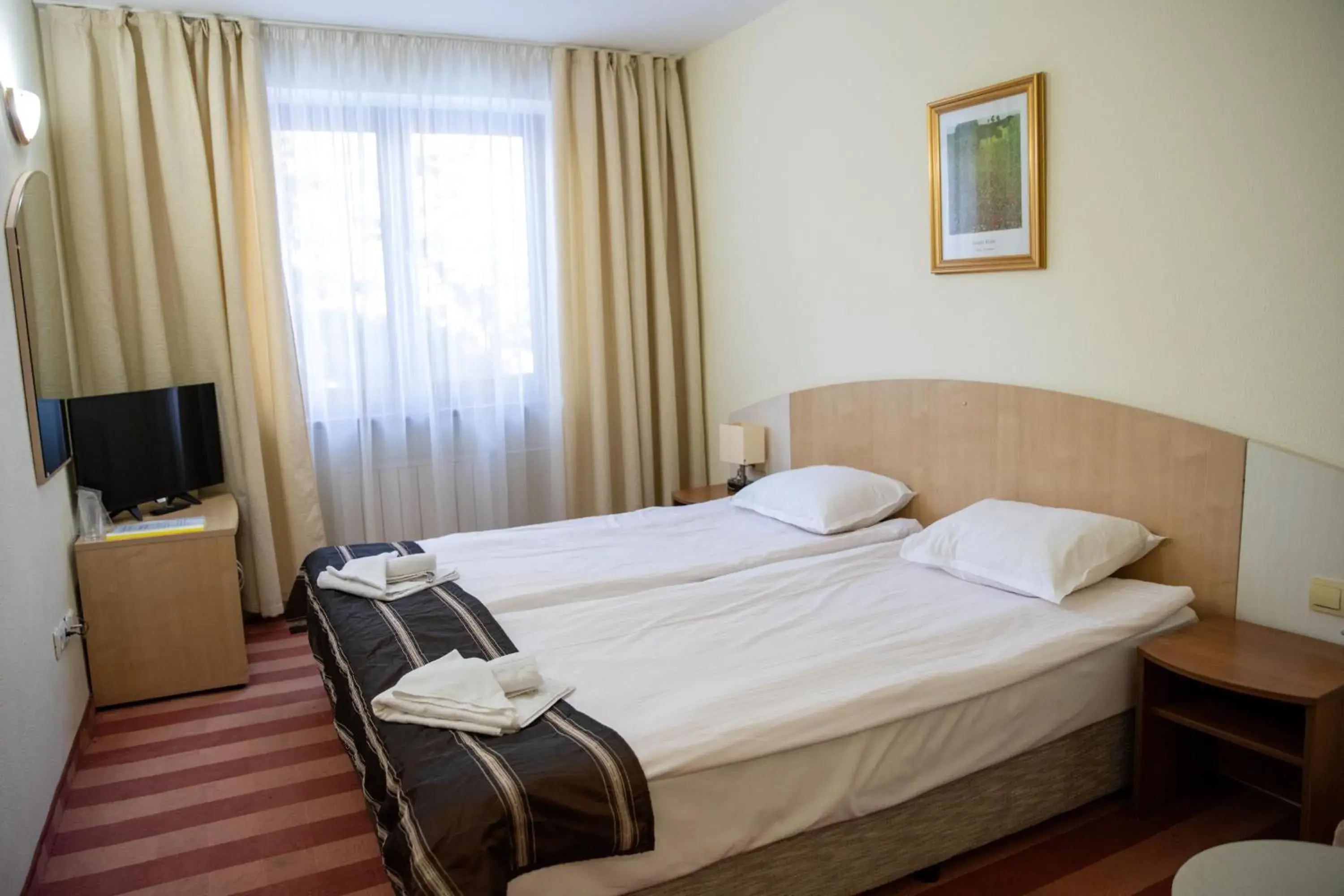 Double or Twin Room with Ski Shuttle - single occupancy in Hotel Borovets Edelweiss Double or Twin Room with Ski Shuttle - single occupancy in Hotel Borovets Edelweiss