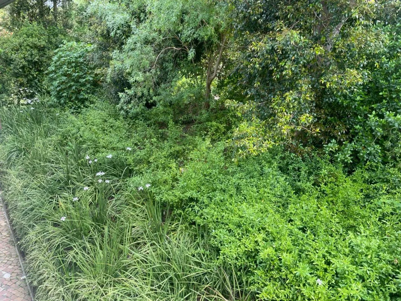 Garden view in Simonzicht Guest House