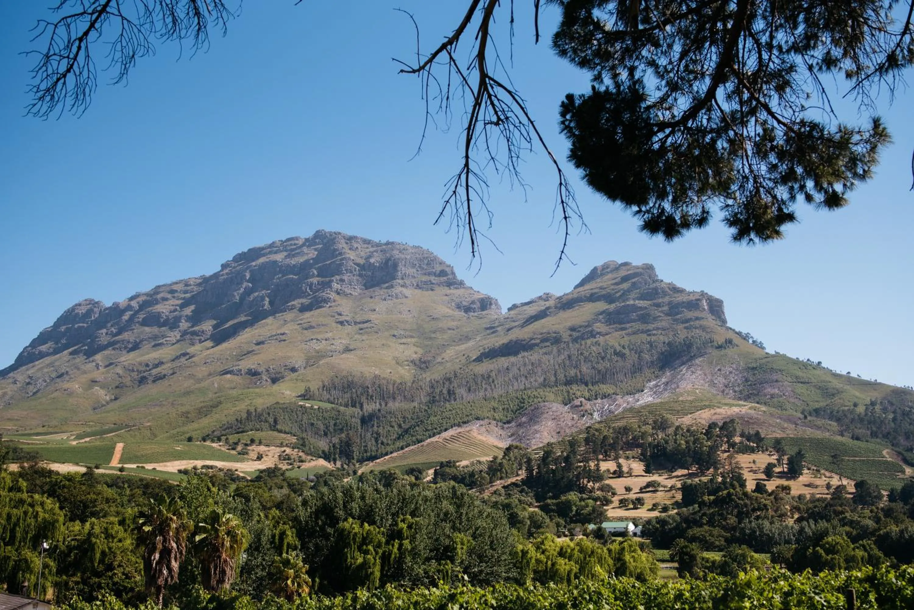 Natural landscape in Simonzicht Guest House