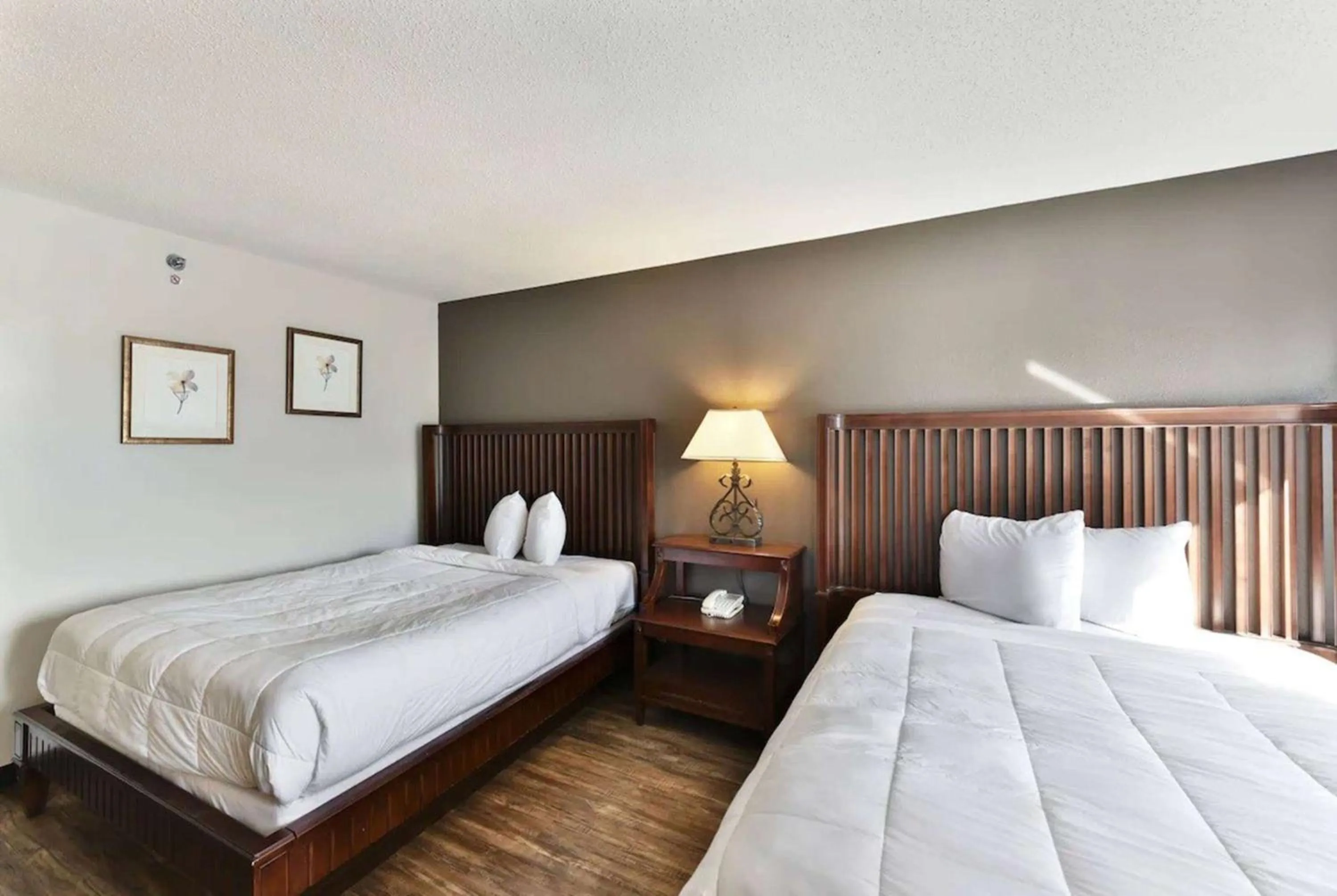 Photo of the whole room, Bed in Baymont Inn and Suites by Wyndham Columbus / Near OSU