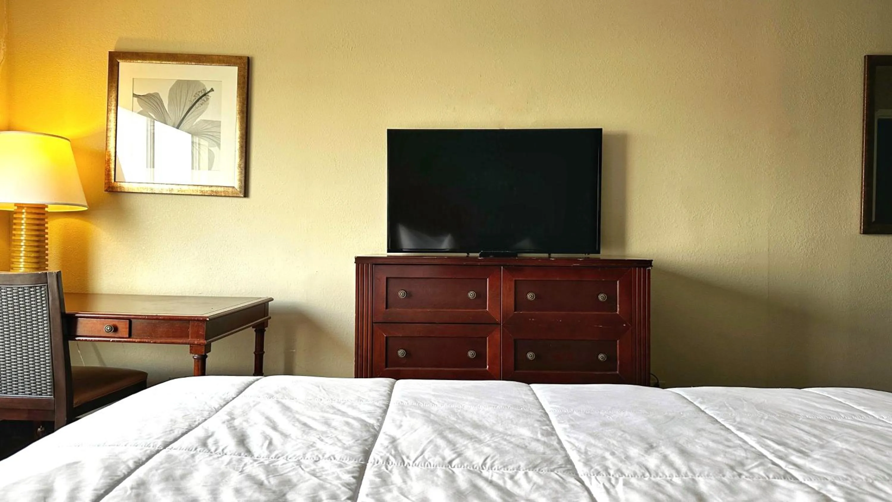 Bed in Baymont Inn and Suites by Wyndham Columbus / Near OSU