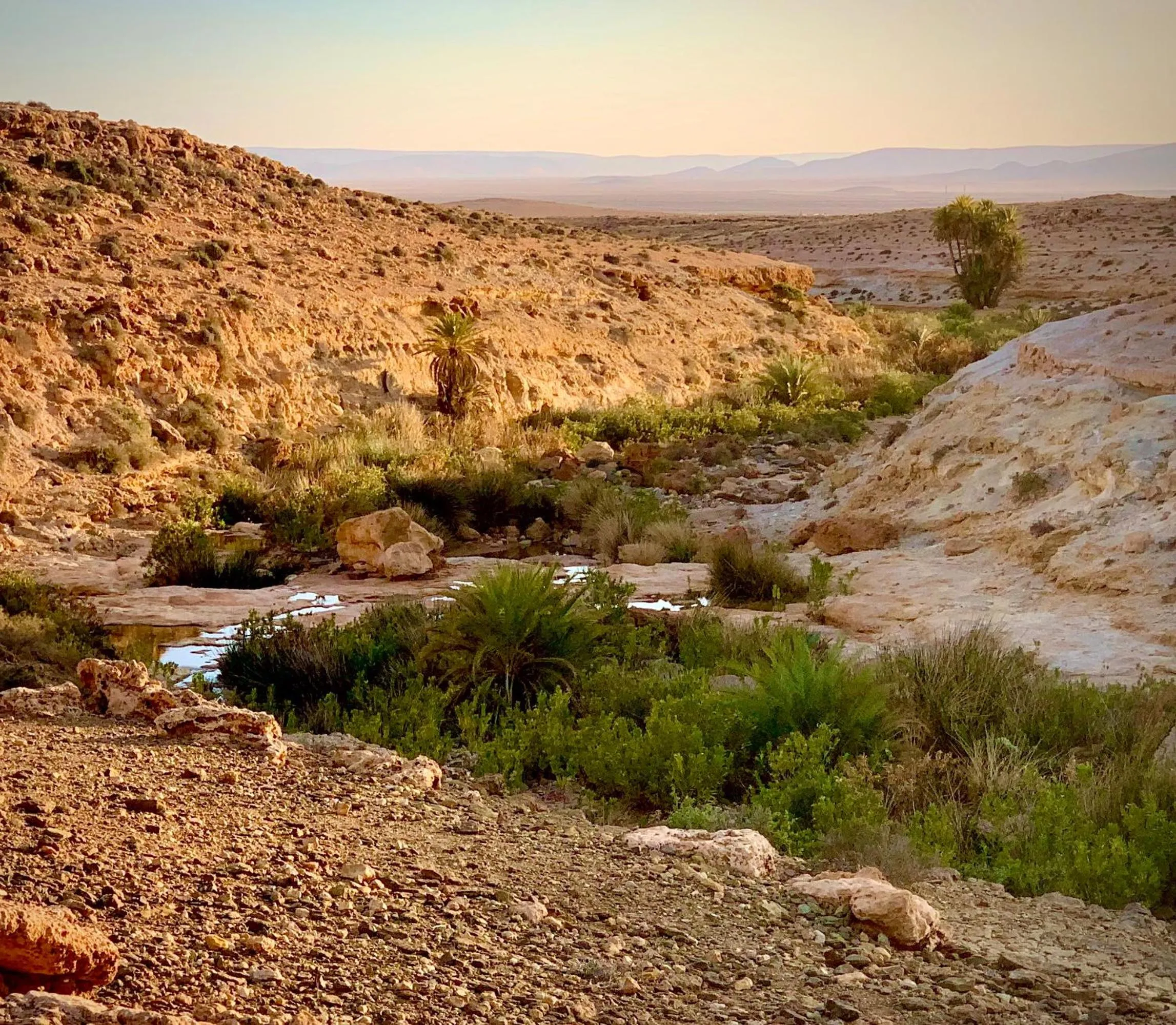 Natural landscape in Maison Nomades
